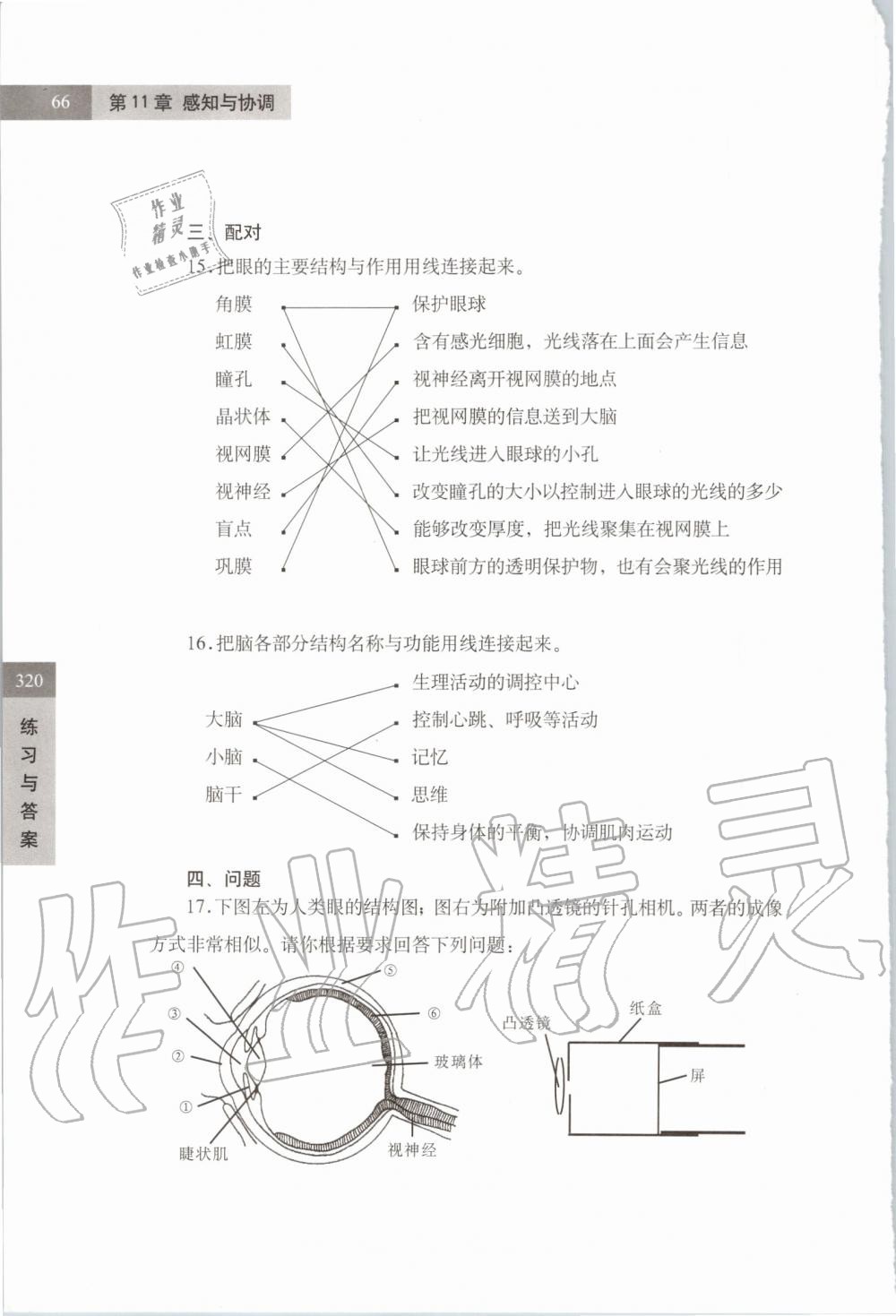 2019年練習部分七年級科學第一學期牛津上海版 第66頁