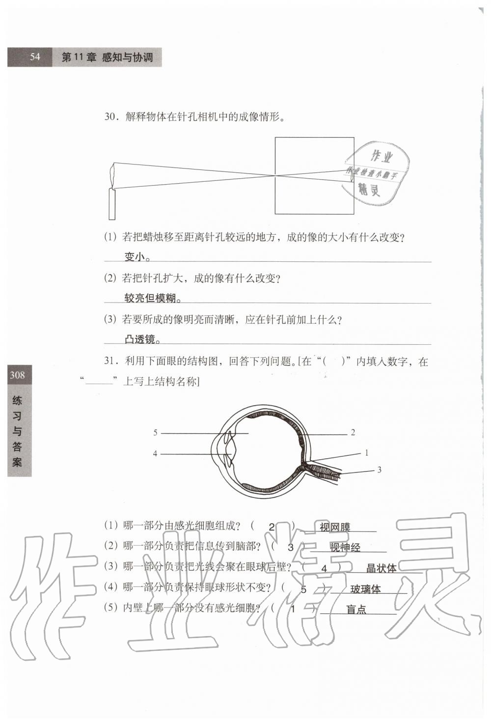 2019年練習(xí)部分七年級(jí)科學(xué)第一學(xué)期牛津上海版 第54頁