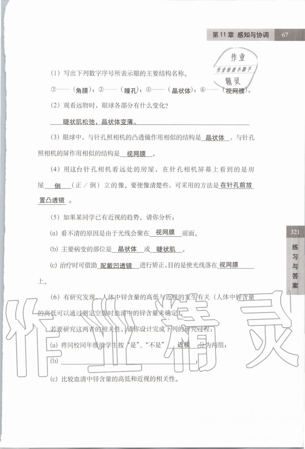 2019年练习部分七年级科学第一学期牛津上海版 第67页
