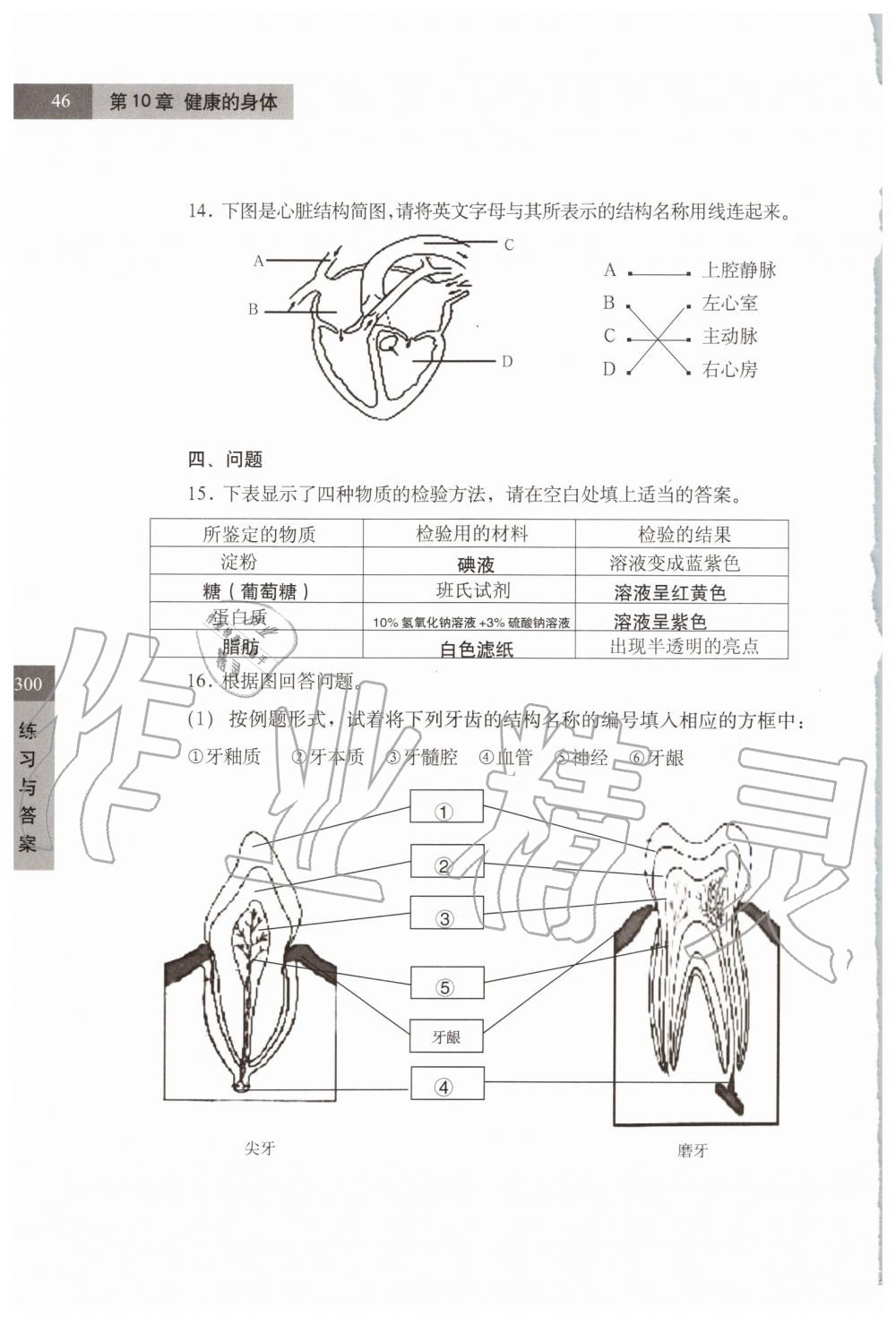 2019年练习部分七年级科学第一学期牛津上海版 第46页