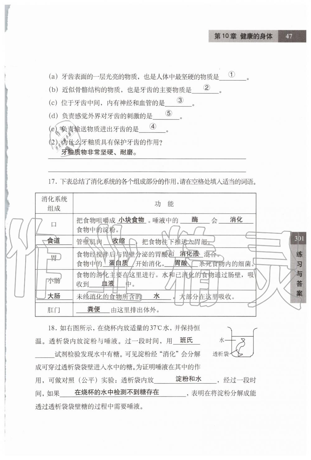 2019年练习部分七年级科学第一学期牛津上海版 第47页