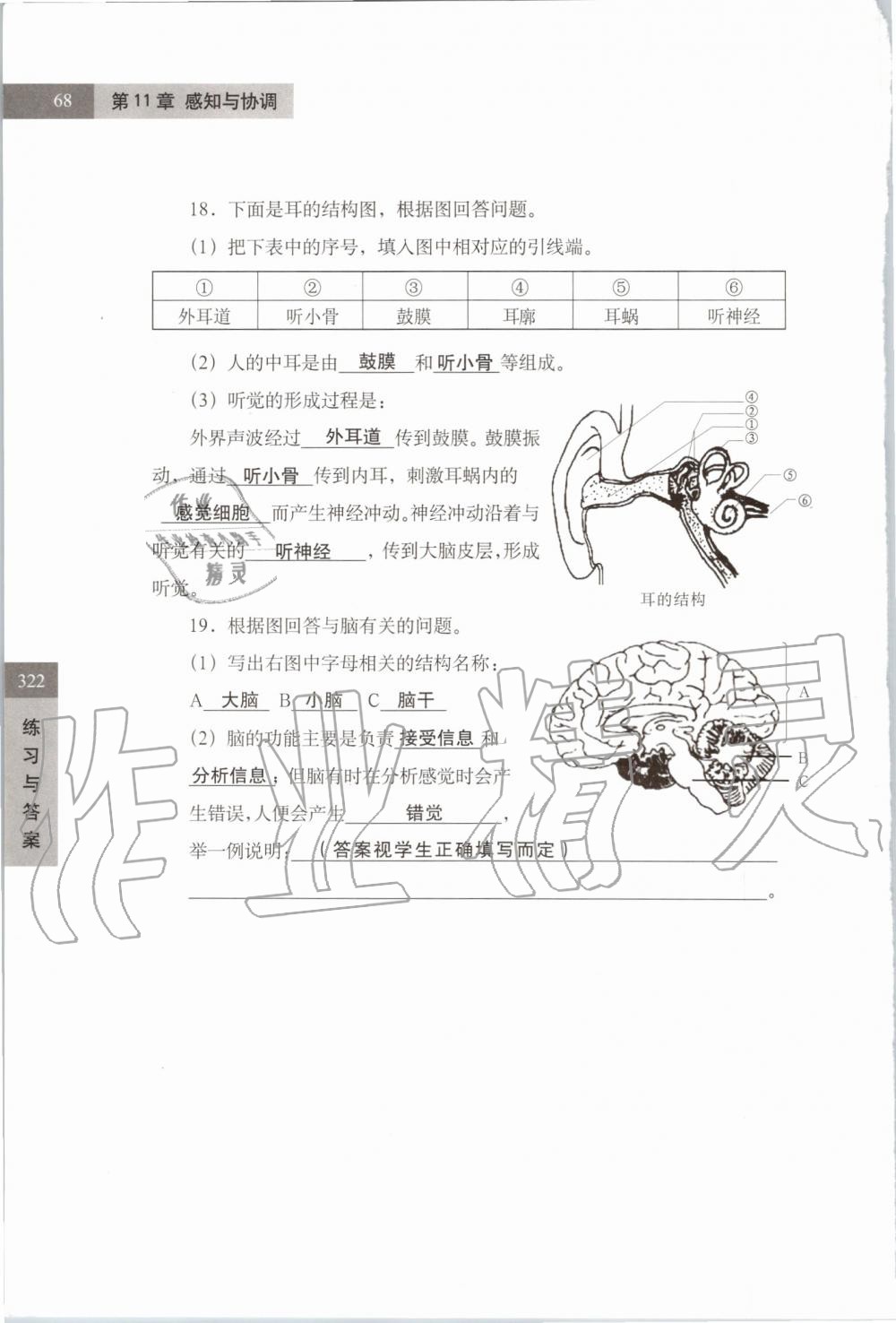 2019年練習(xí)部分七年級(jí)科學(xué)第一學(xué)期牛津上海版 第68頁