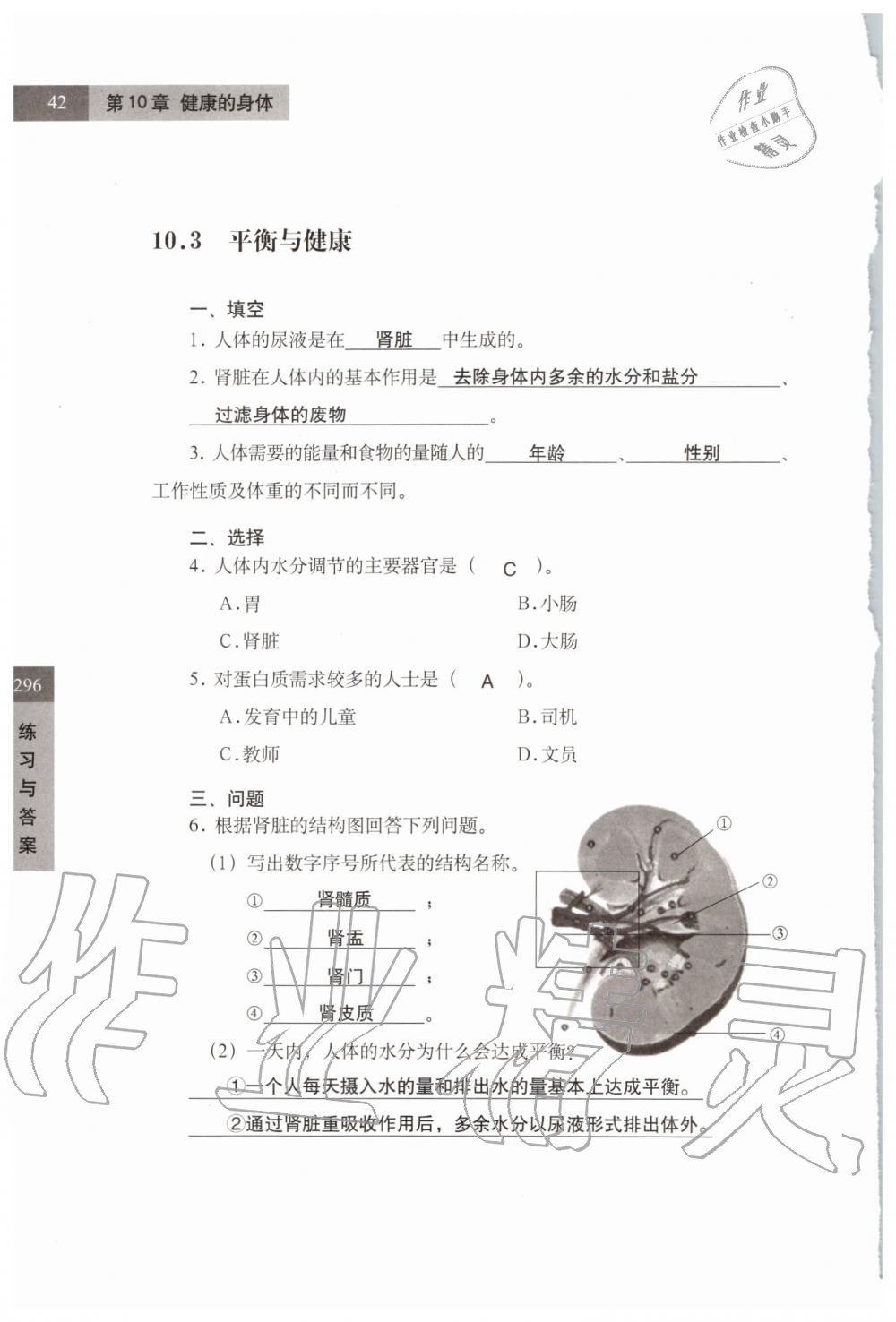 2019年練習(xí)部分七年級(jí)科學(xué)第一學(xué)期牛津上海版 第42頁