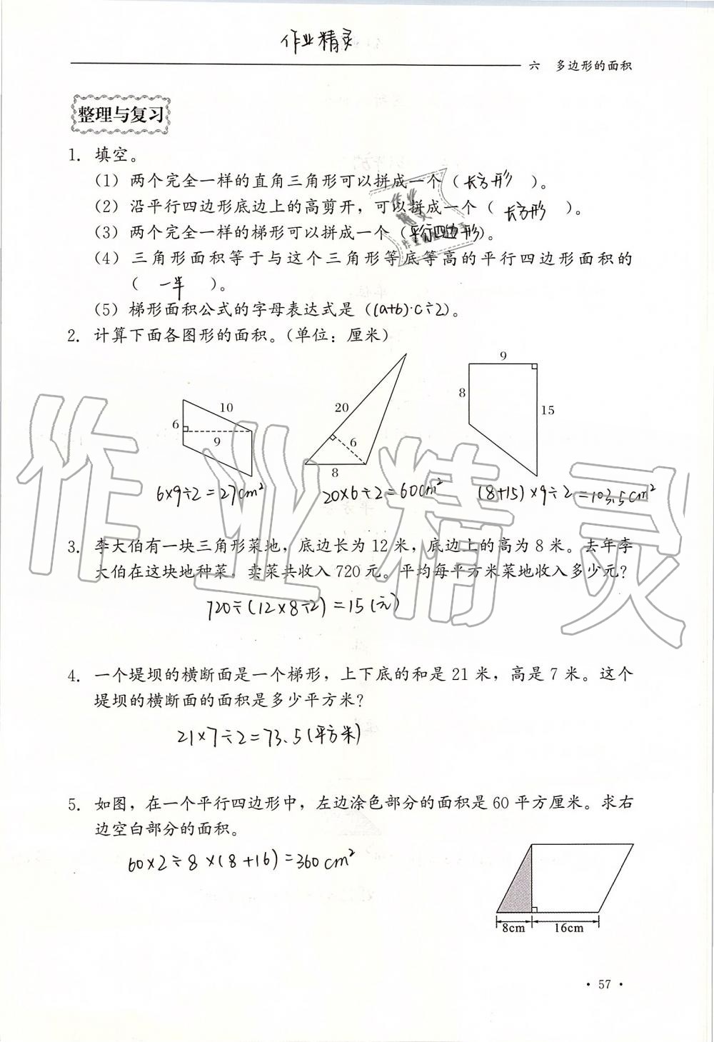 2019年同步練習冊五年級數(shù)學上冊冀教版河北教育出版社 第57頁