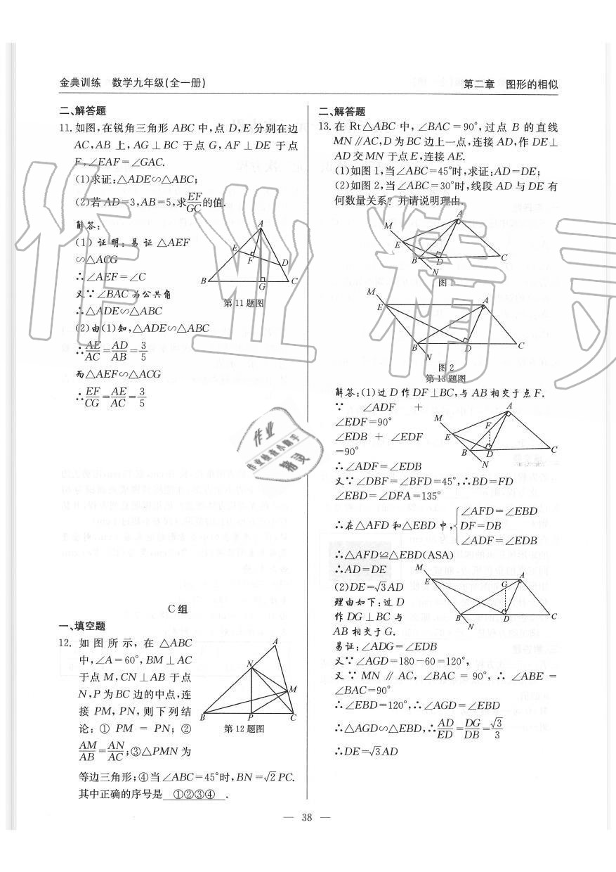 2019年金典训练九年级数学全一册北师大版 第38页