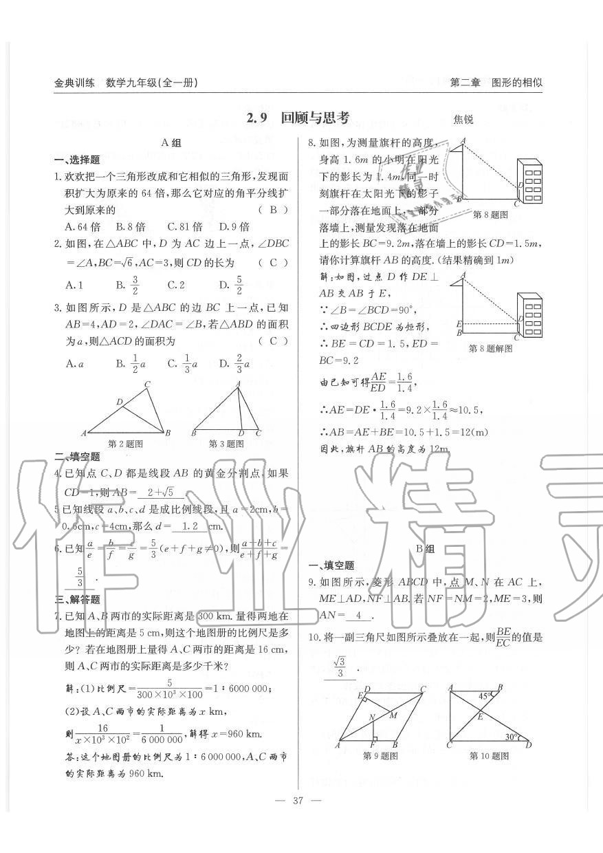 2019年金典训练九年级数学全一册北师大版 第37页