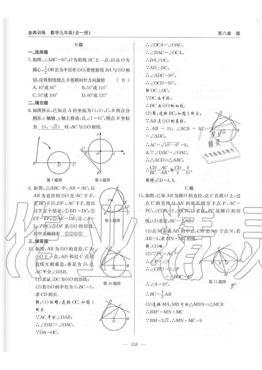 2019年金典训练九年级数学全一册北师大版 第158页