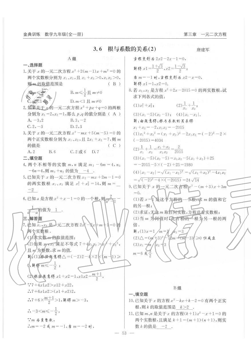 2019年金典训练九年级数学全一册北师大版 第53页