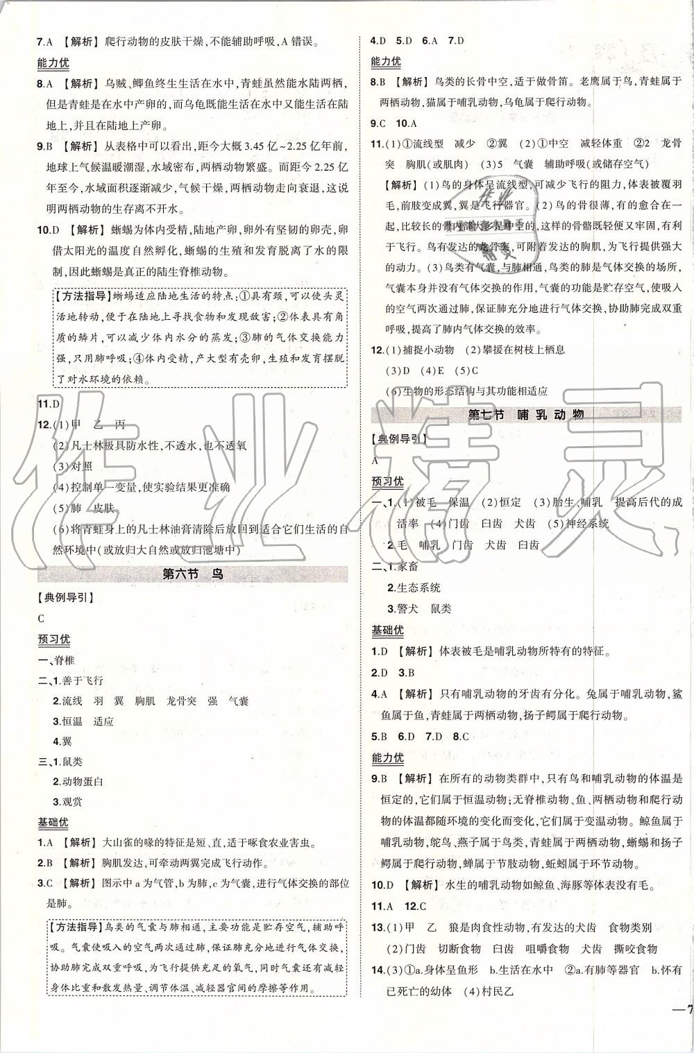 2019年黄冈创优作业八年级生物上册人教版 第3页