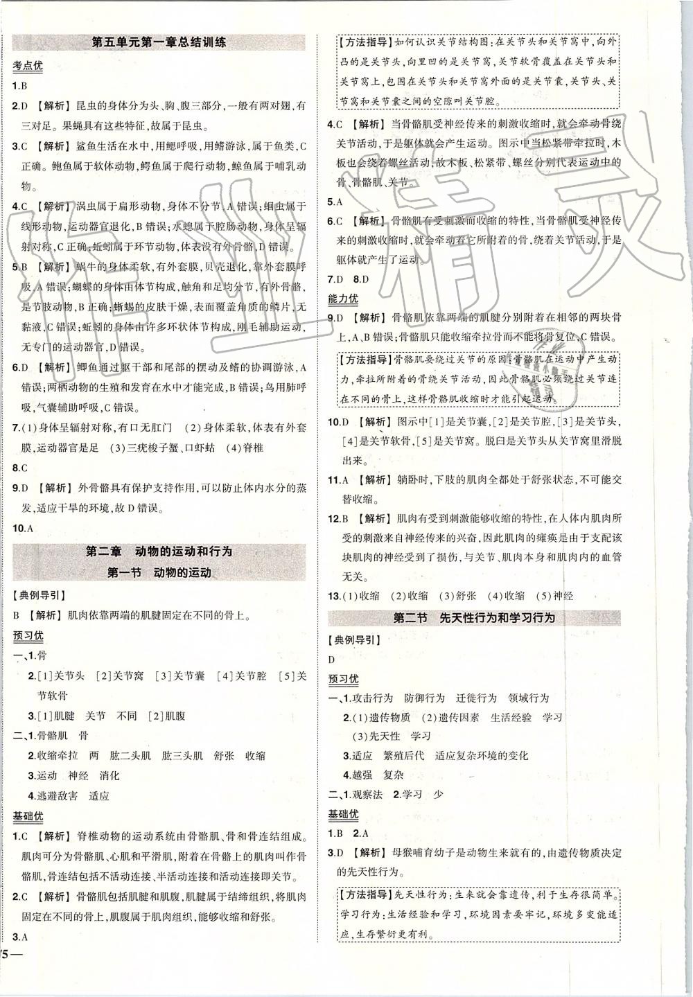 2019年黄冈创优作业八年级生物上册人教版 第4页