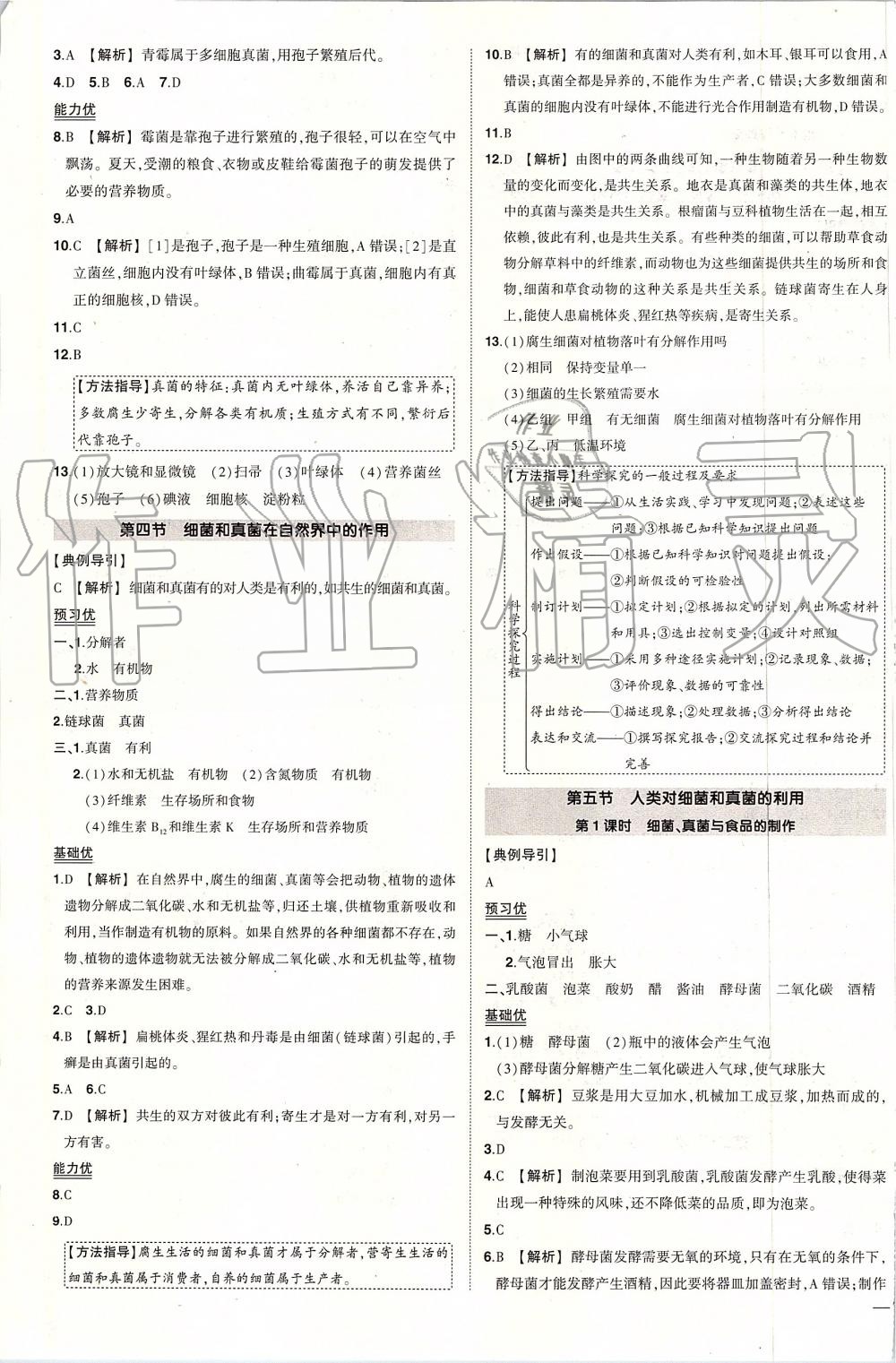 2019年黄冈创优作业八年级生物上册人教版 第7页