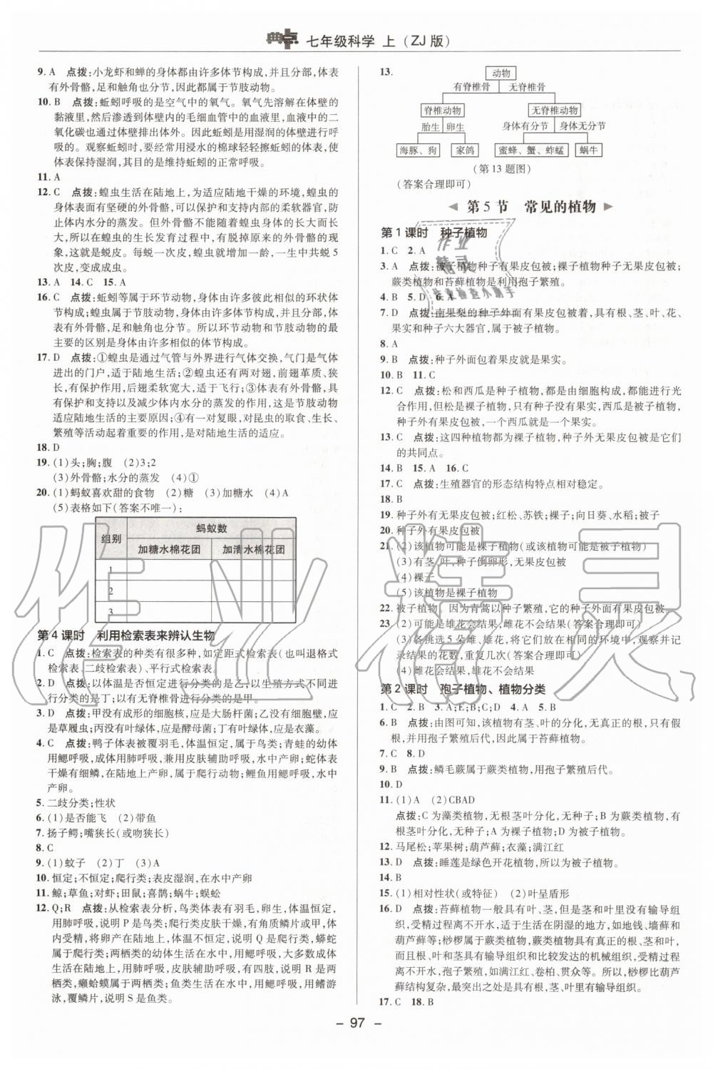 2019年綜合應(yīng)用創(chuàng)新題典中點(diǎn)七年級數(shù)學(xué)上冊浙教版 第11頁