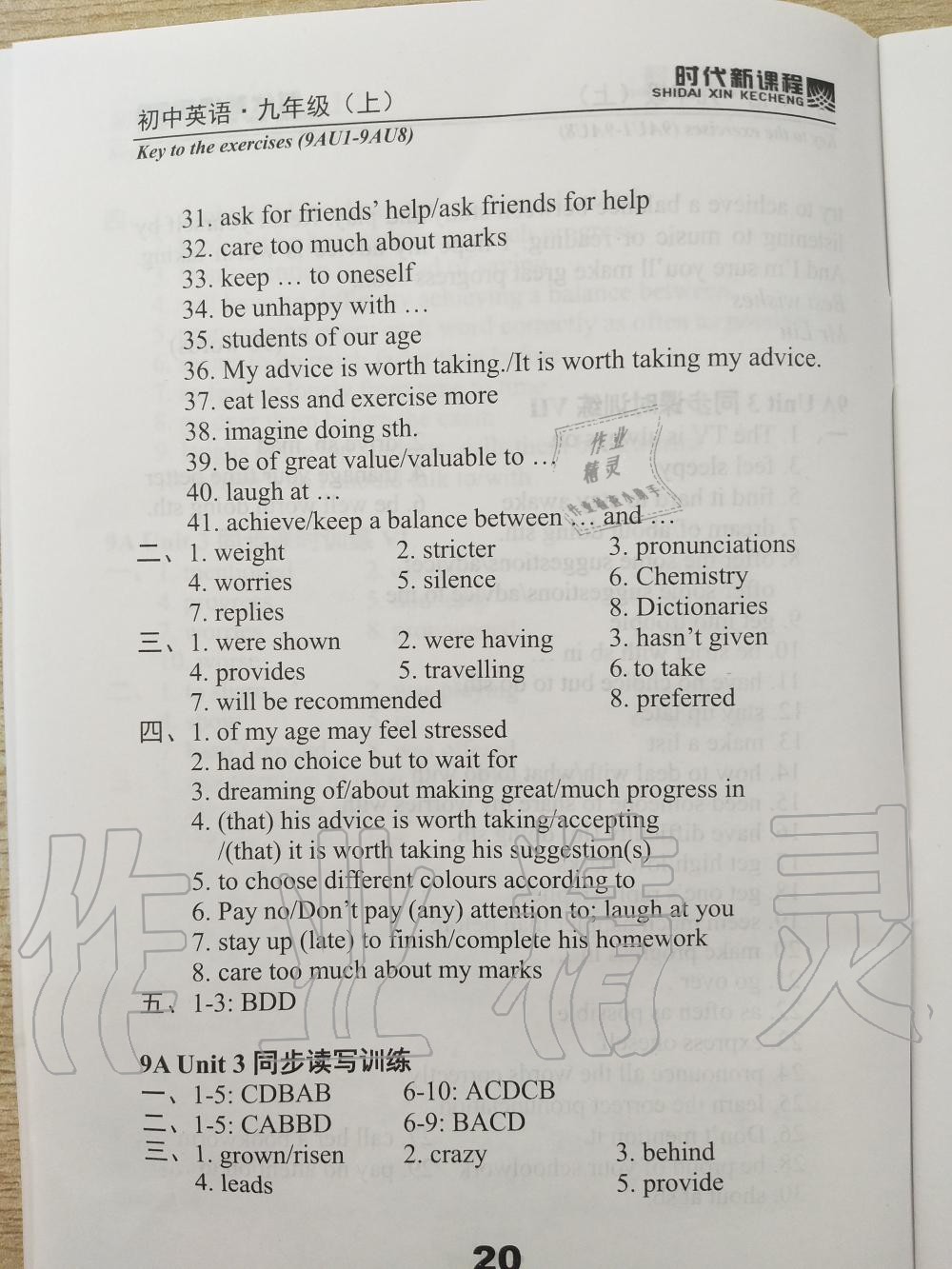 2019年时代新课程初中英语九年级上册译林版 第20页