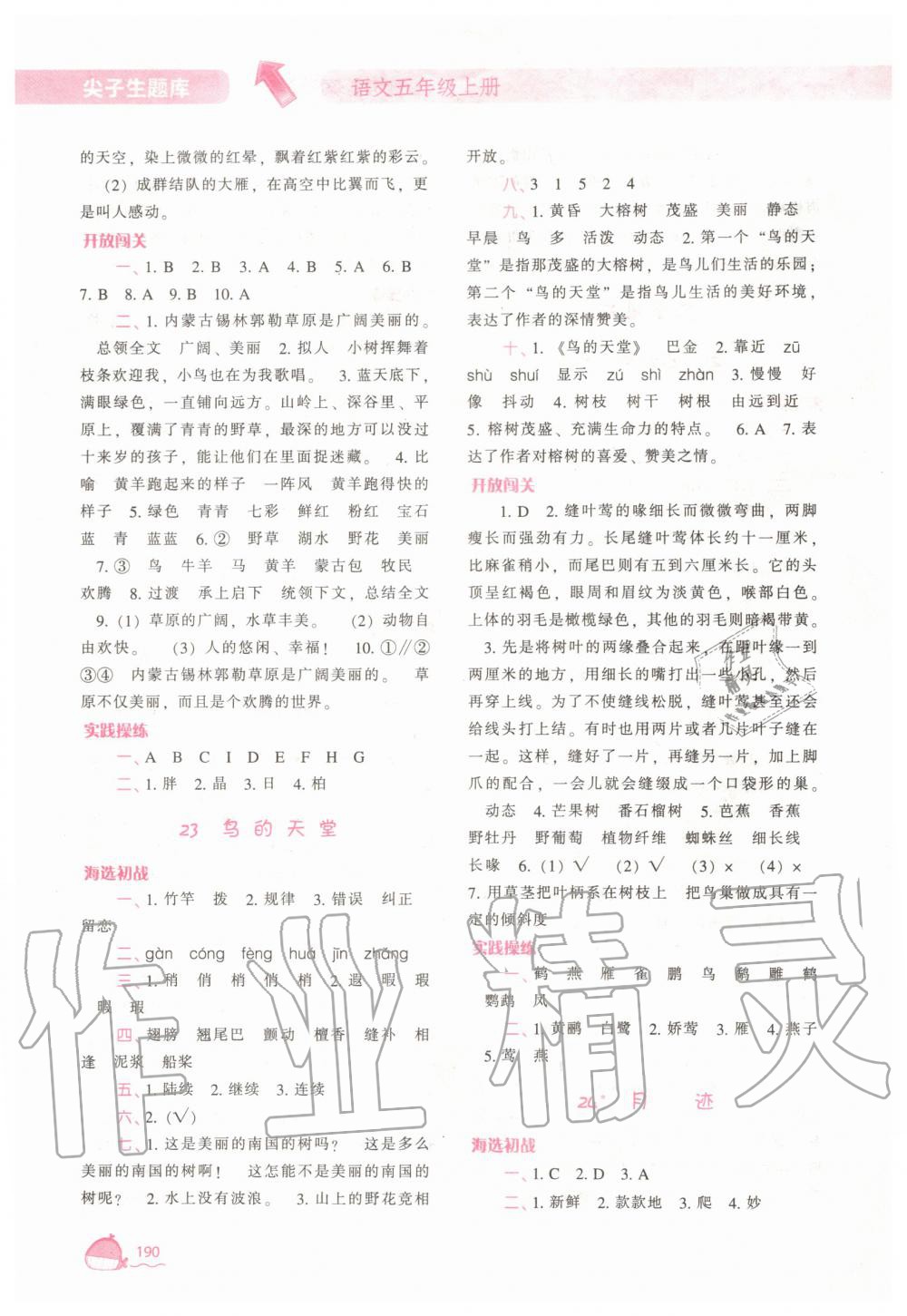 2019年尖子生題庫(kù)五年級(jí)語(yǔ)文上冊(cè)人教版 第14頁(yè)