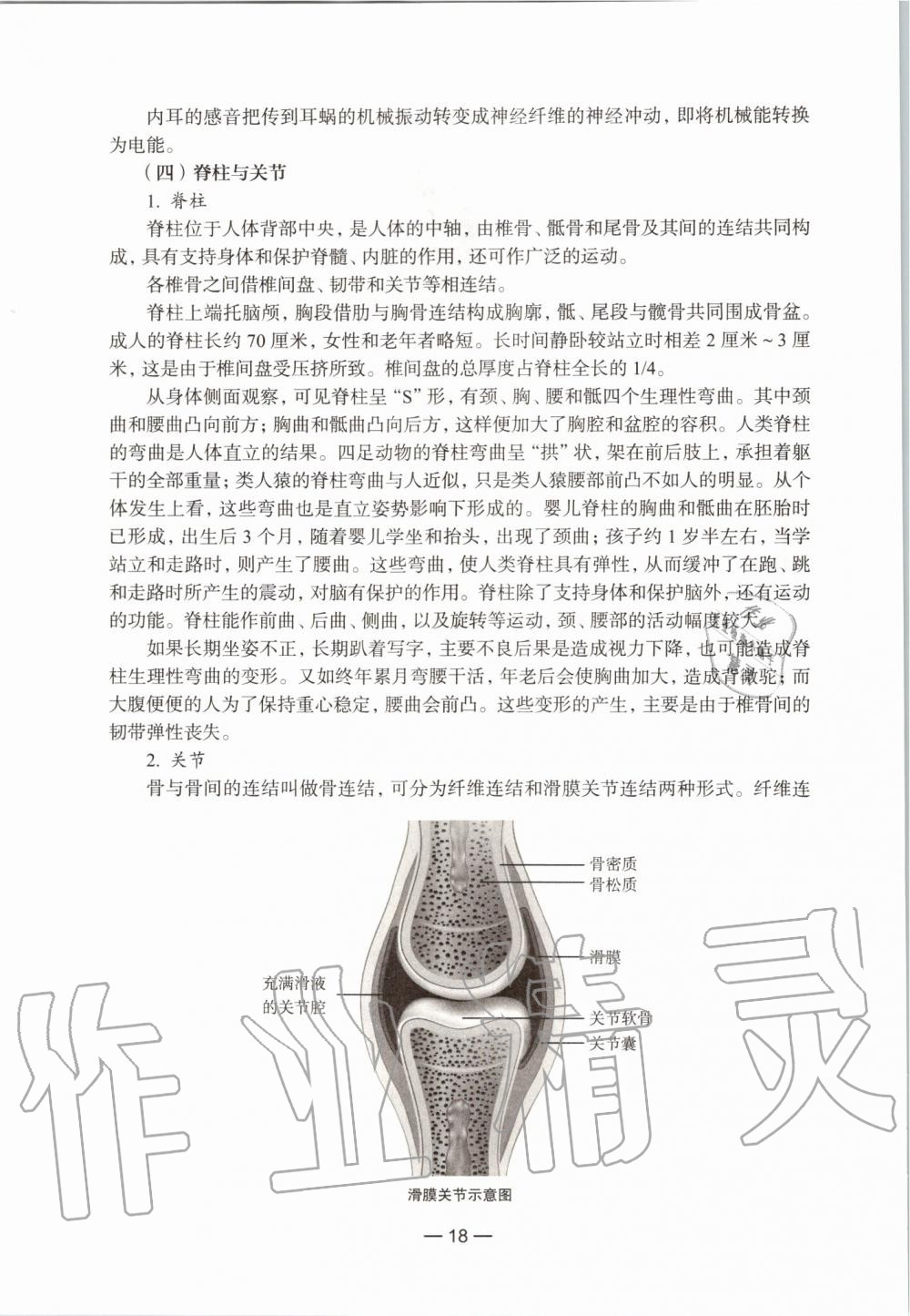 2019年生命科學練習部分初中第一冊滬教版 第12頁