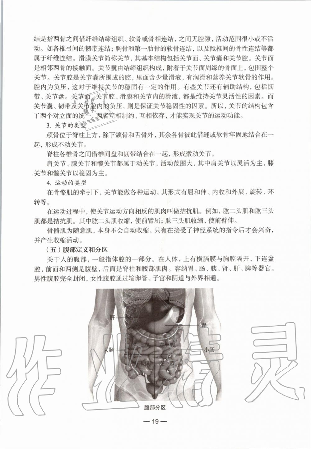 2019年生命科學(xué)練習(xí)部分初中第一冊滬教版 第13頁