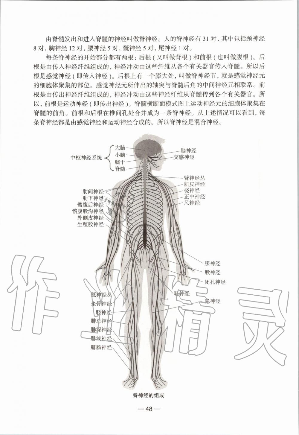 2019年生命科學(xué)練習(xí)部分初中第一冊滬教版 第42頁