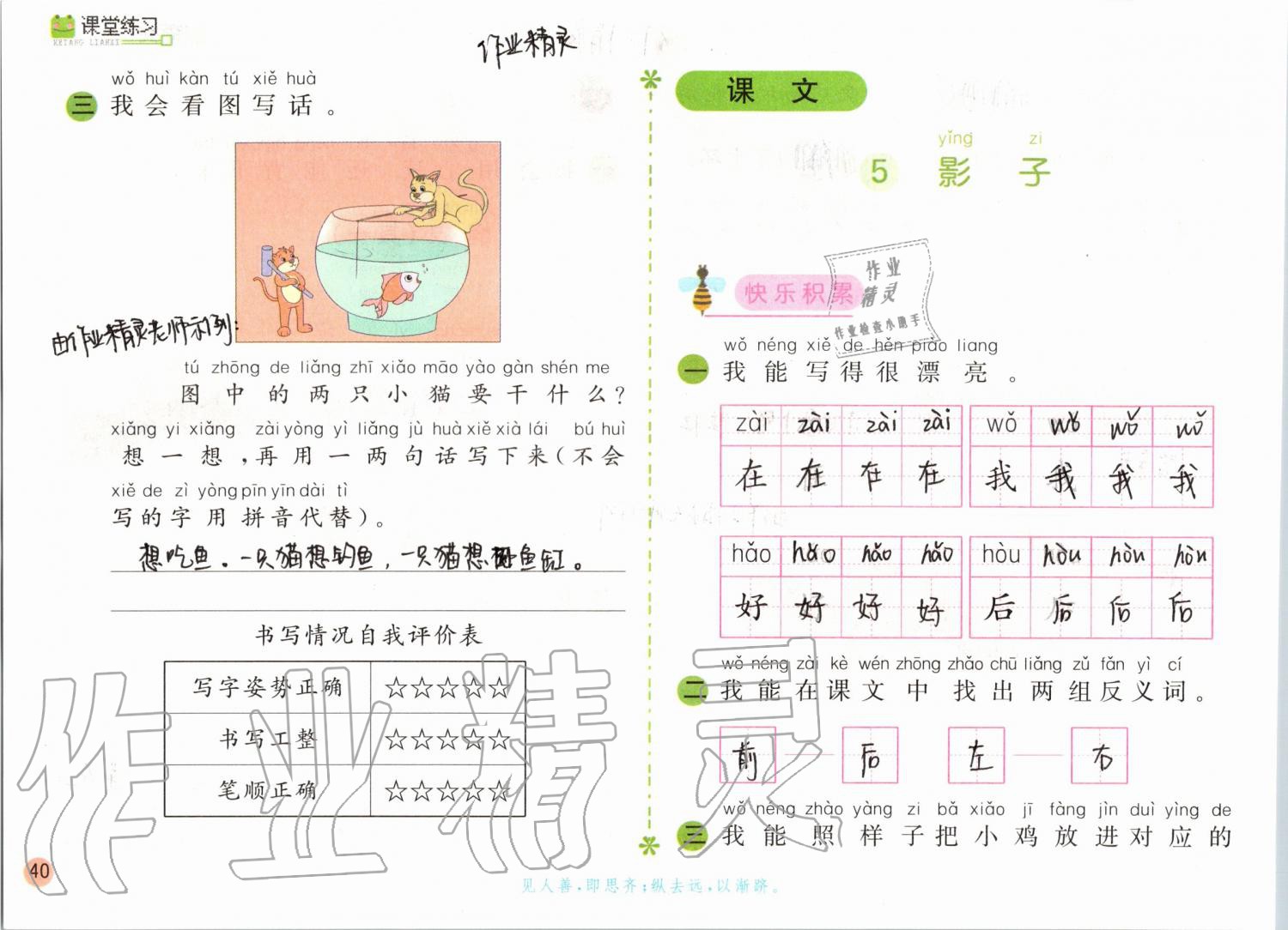 2019年課堂練習(xí)一年級(jí)語文上冊(cè)人教版彩色版 第40頁