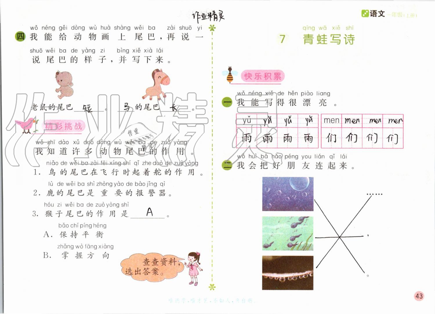 2019年課堂練習一年級語文上冊人教版彩色版 第43頁