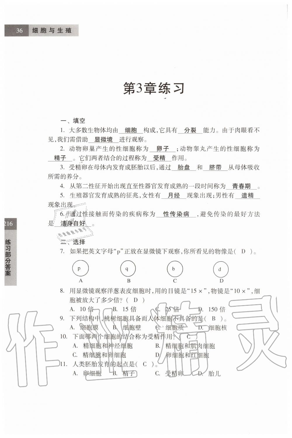 2019年科学练习部分六年级第一学期牛津上海版 第36页