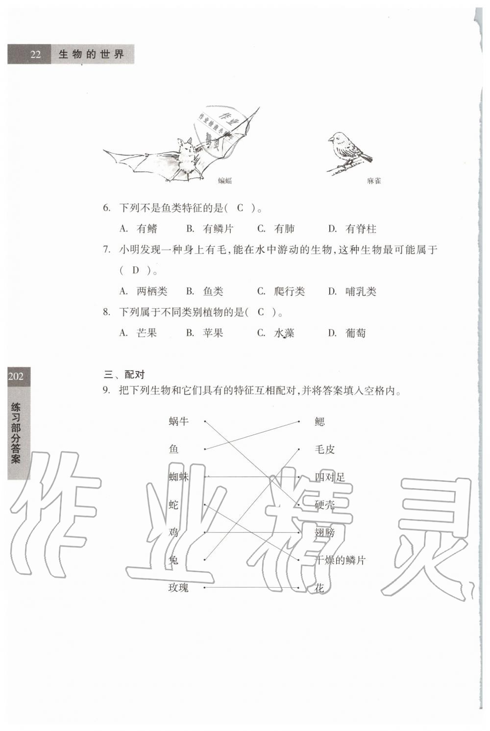 2019年科学练习部分六年级第一学期牛津上海版 第22页