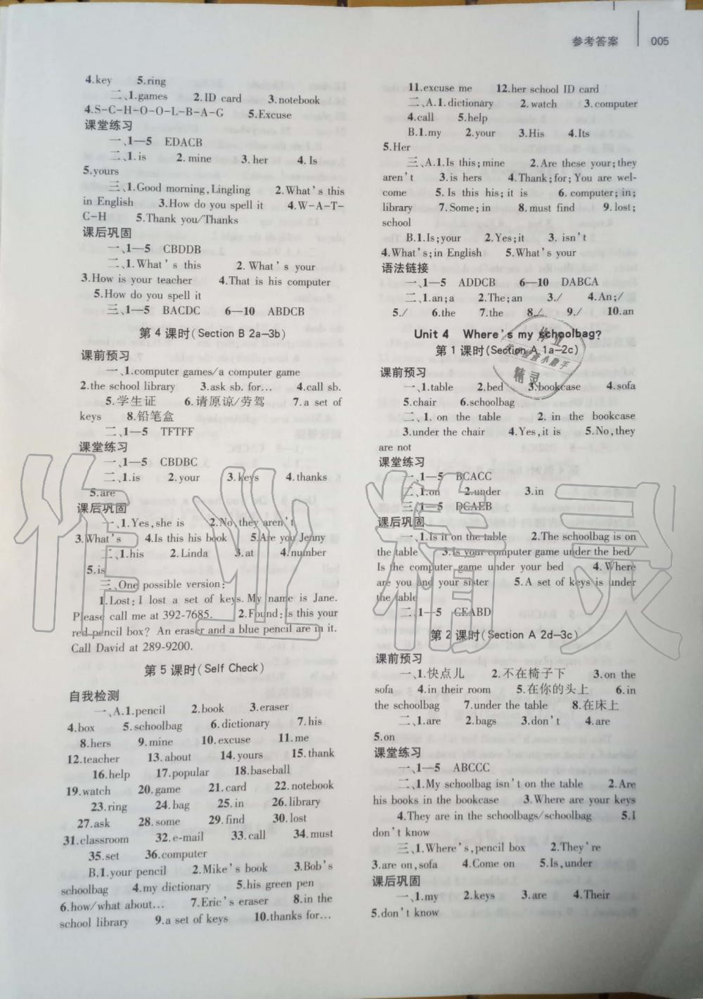 2019年基础训练七年级英语上册人教版大象出版社 第5页