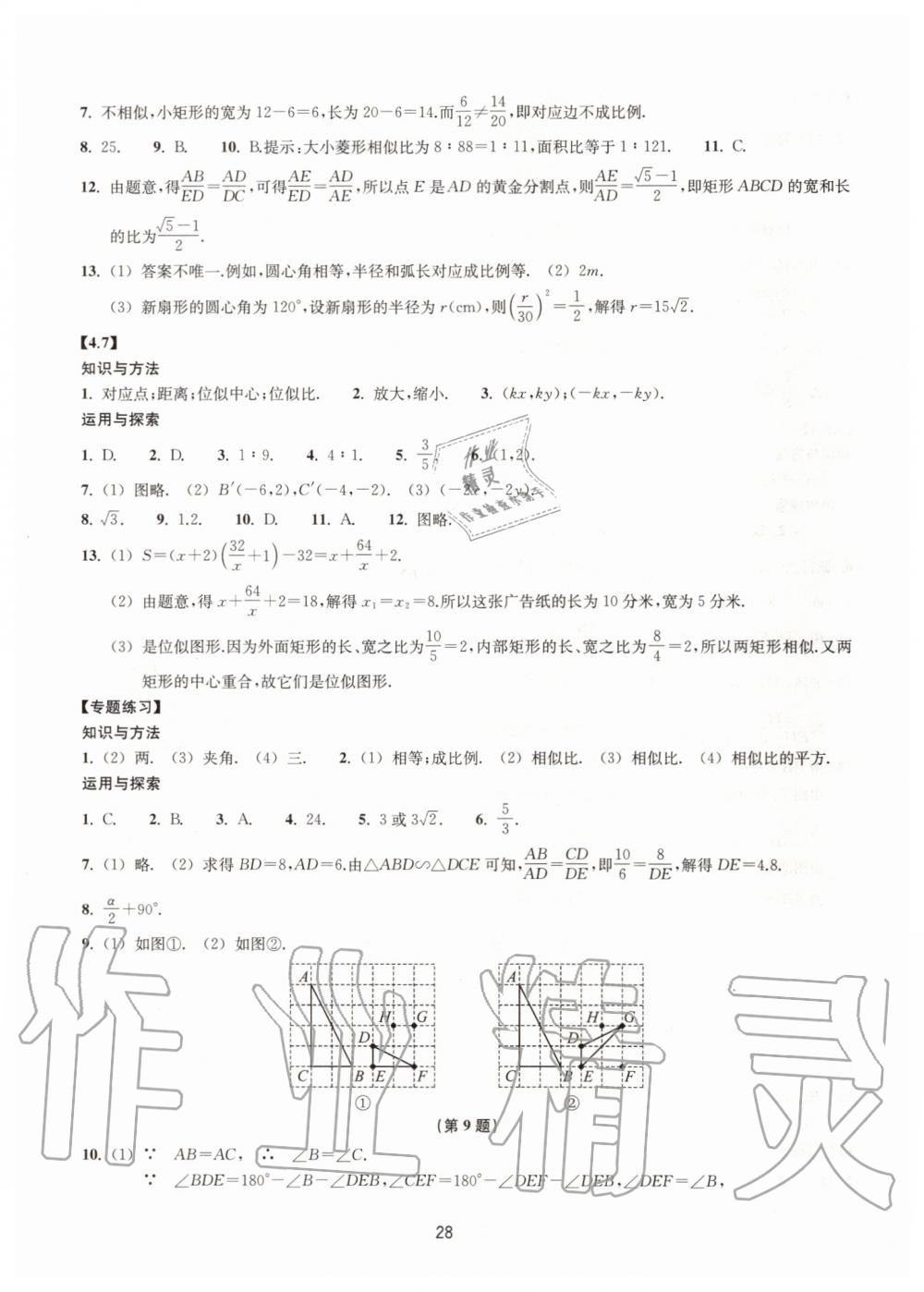 2019年同步練習九年級數(shù)學上冊浙教版提升版浙江教育出版社 第28頁