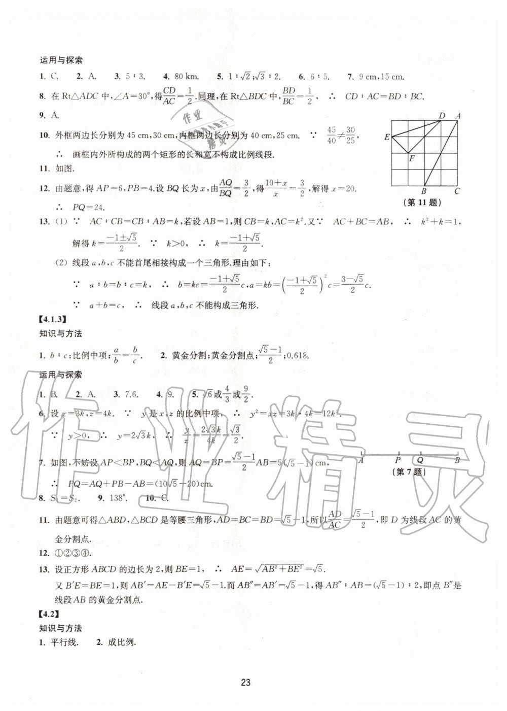 2019年同步練習(xí)九年級數(shù)學(xué)上冊浙教版提升版浙江教育出版社 第23頁