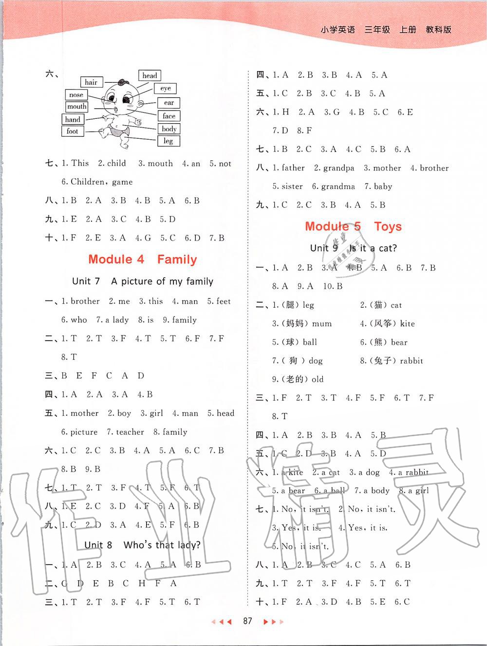 2019年53天天練小學(xué)英語三年級上冊教科版廣州專用 第3頁