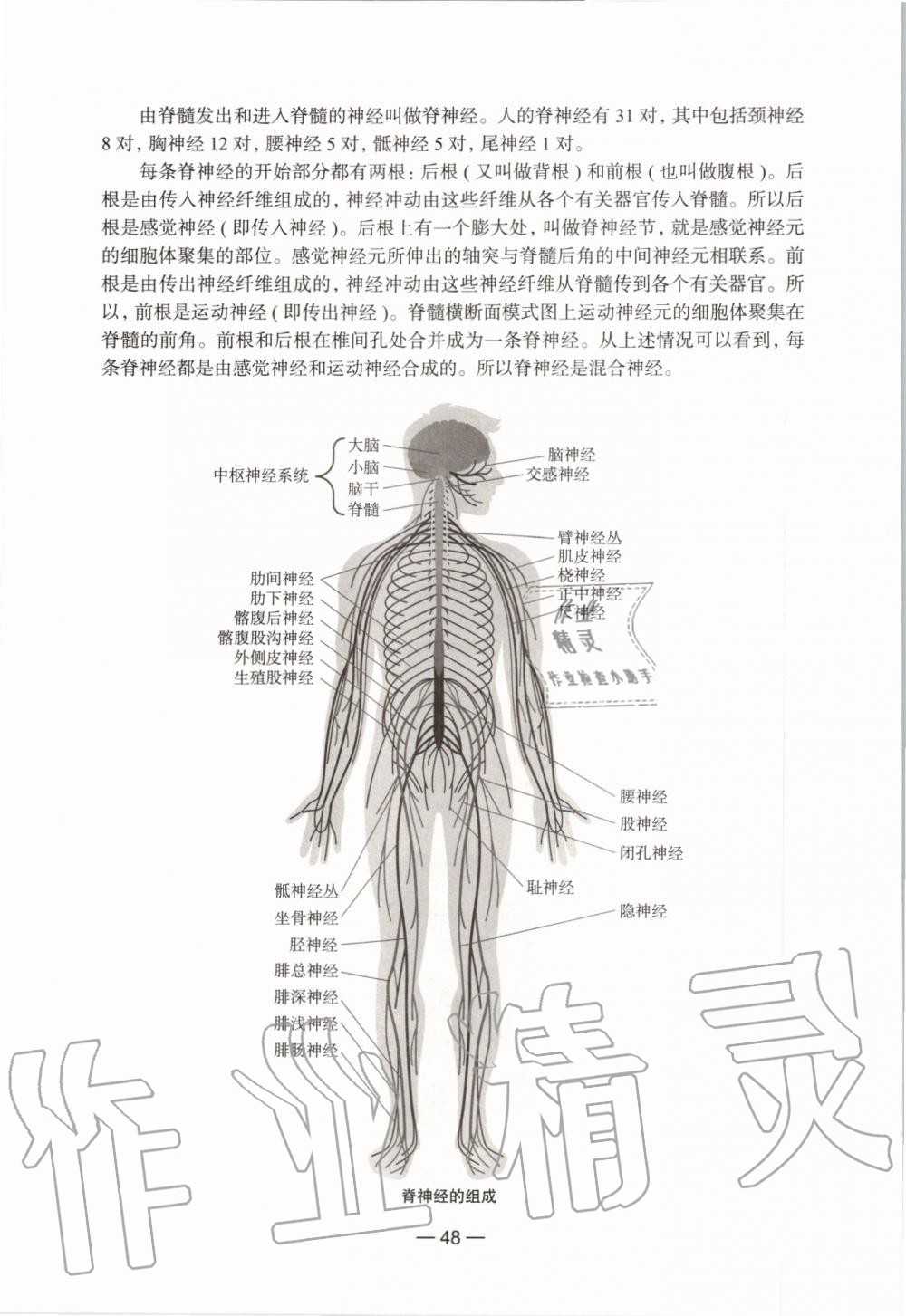 2019年課本初中生命科學(xué)第一冊(cè)滬教版 第42頁