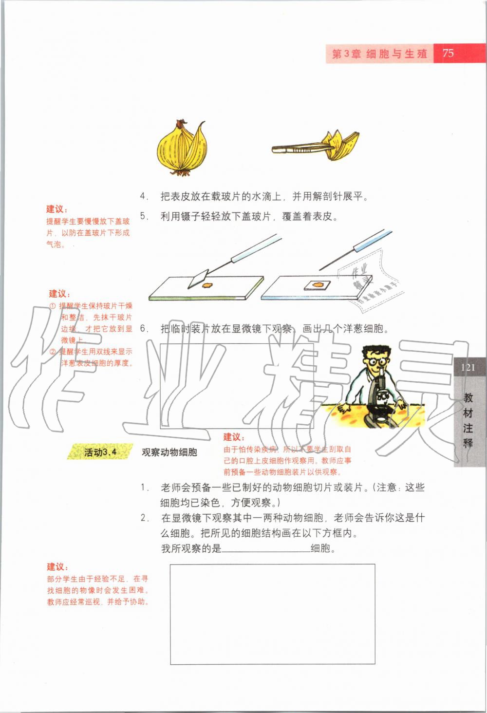 2019年課本六年級(jí)科學(xué)第一學(xué)期滬教版 第74頁(yè)