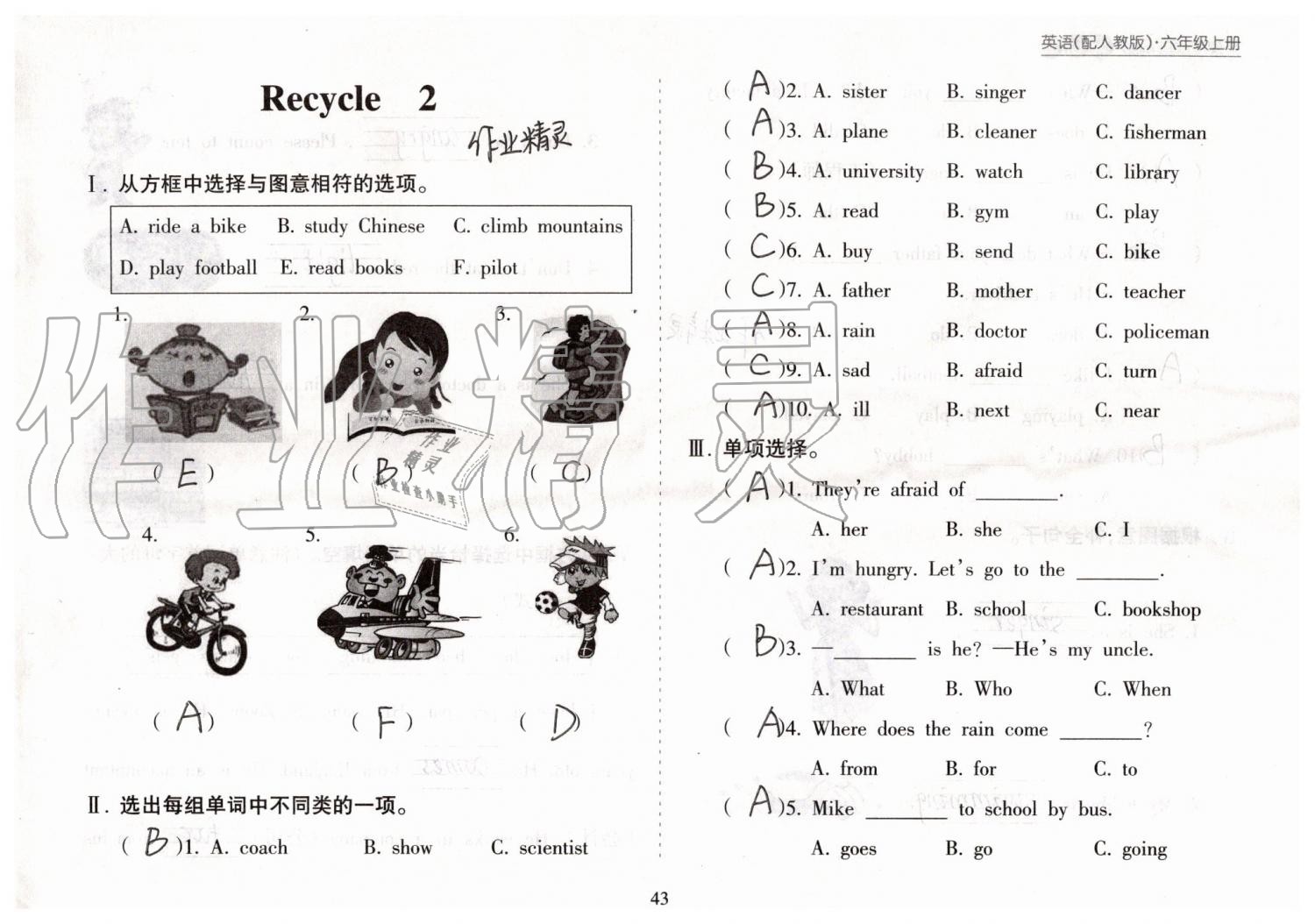 2019年新課程課堂同步練習(xí)冊六年級英語上冊人教版 第43頁