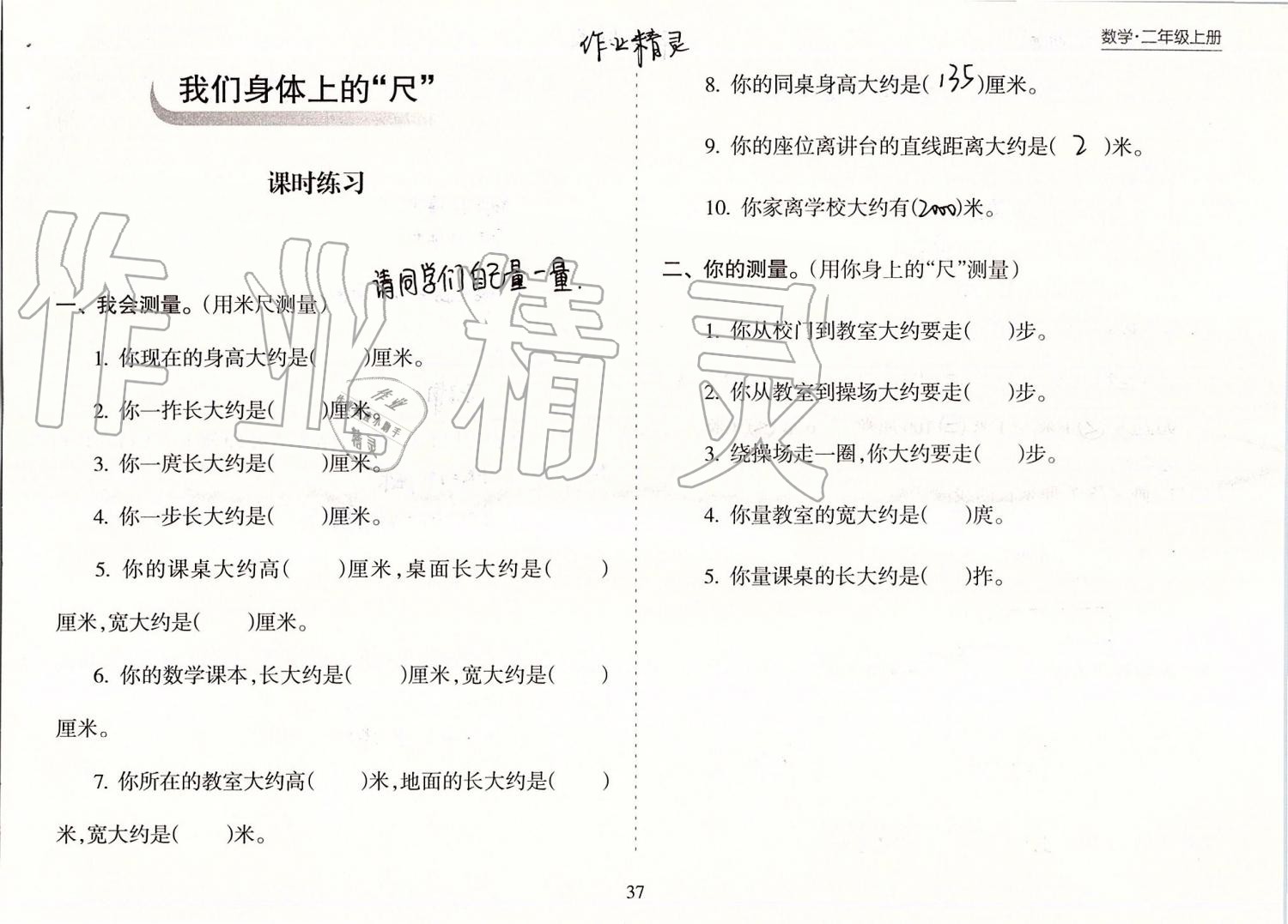 2019年新课程课堂同步练习册二年级数学上册苏教版 第37页