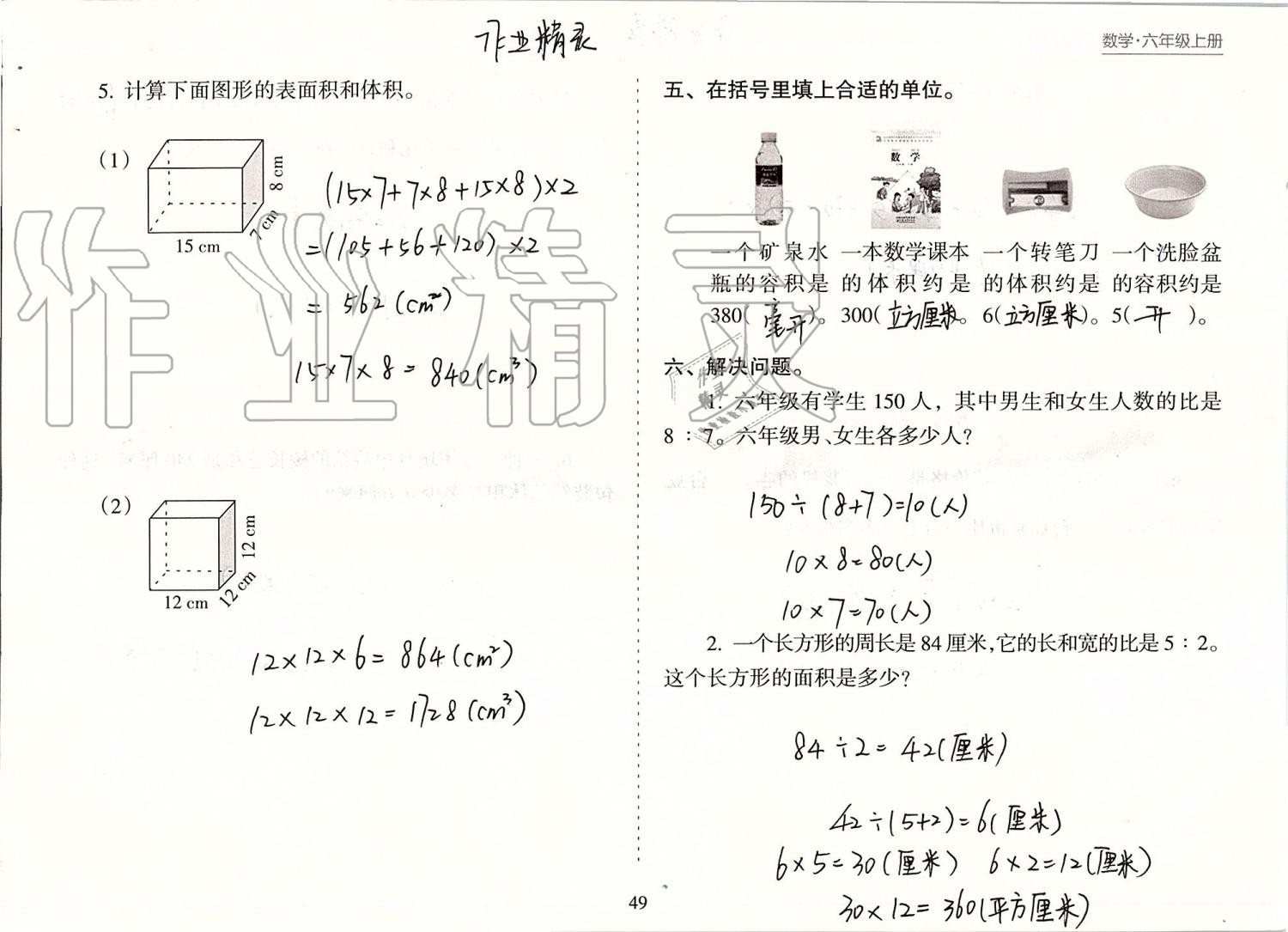 2019年新課程課堂同步練習(xí)冊(cè)六年級(jí)數(shù)學(xué)上冊(cè)蘇教版 第49頁(yè)