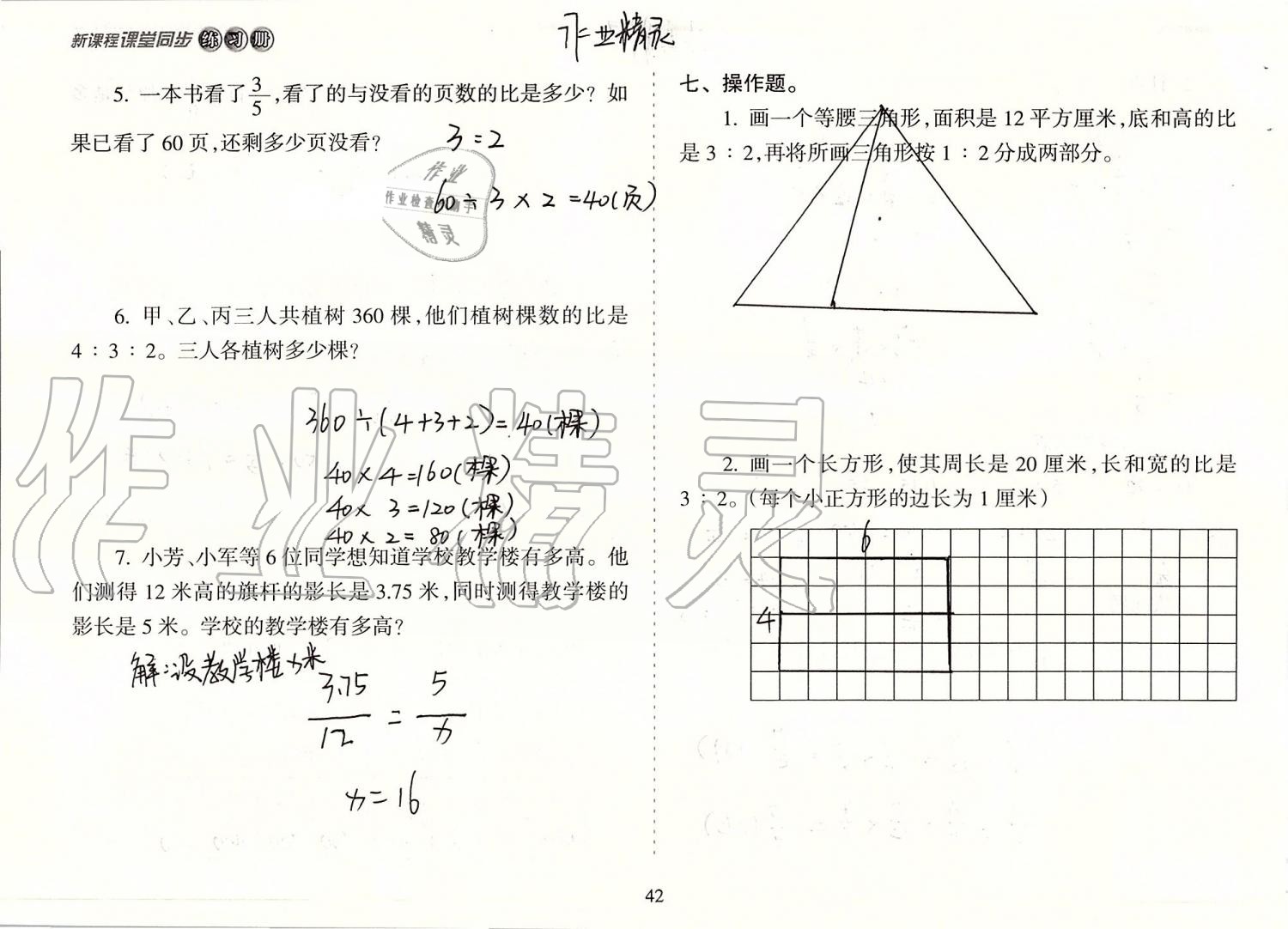 2019年新課程課堂同步練習(xí)冊六年級數(shù)學(xué)上冊蘇教版 第42頁