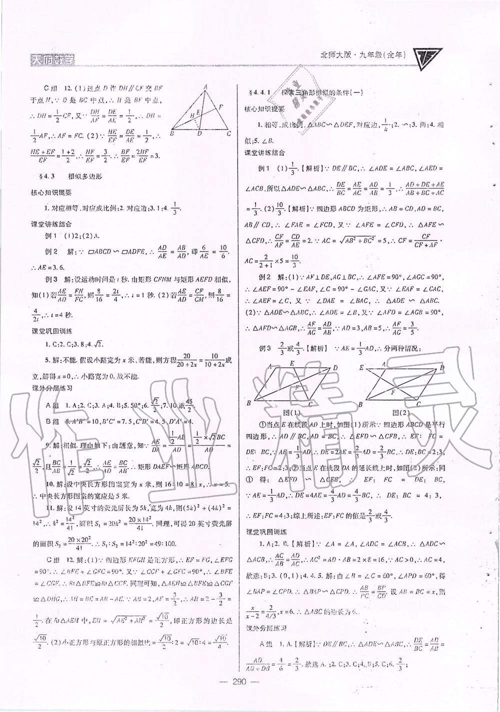 2019年天府数学九年级全一册北师大版 第25页