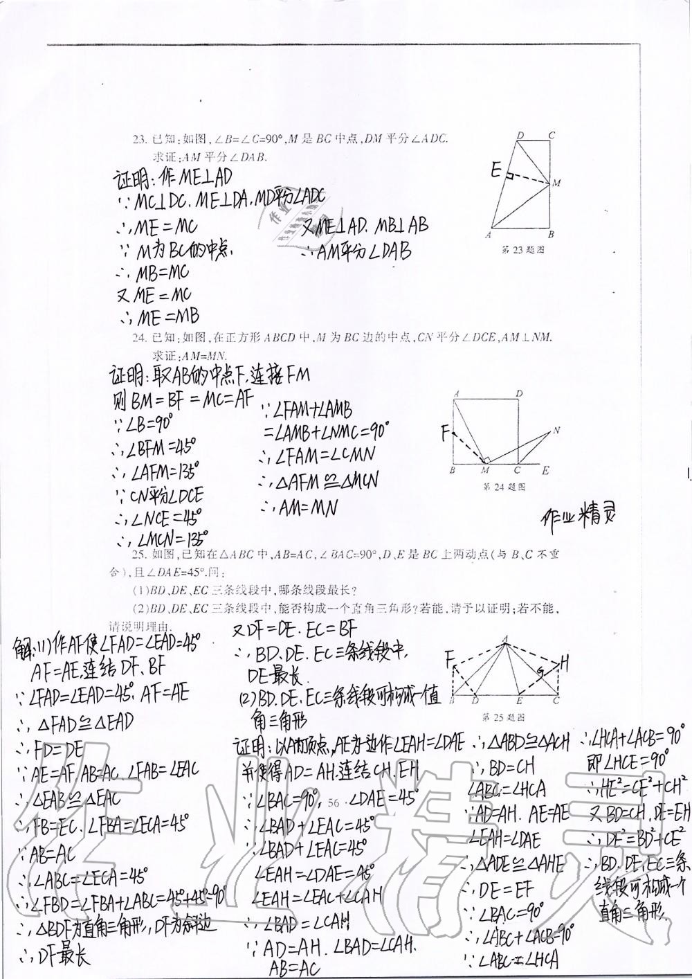 2019年中学生世界八年级数学第一学期下沪教版 第74页