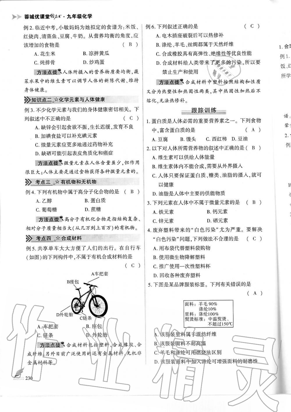 2019年蓉城優(yōu)課堂給力A加九年級化學(xué)全一冊人教版 第230頁