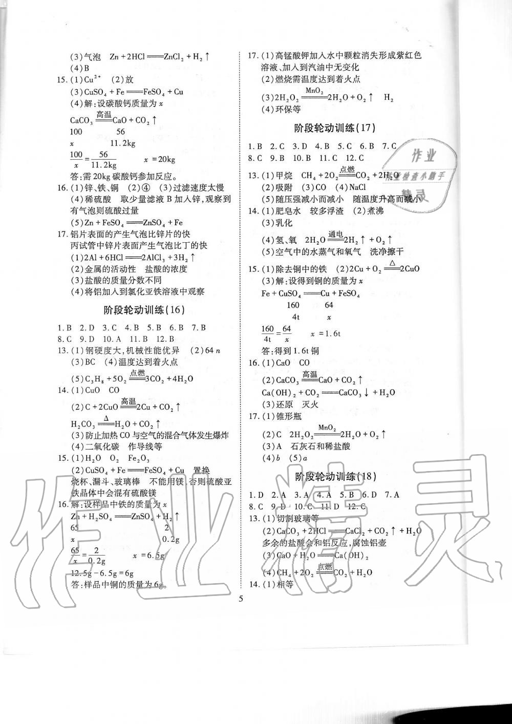 2019年蓉城優(yōu)課堂給力A加九年級化學(xué)全一冊人教版 第237頁