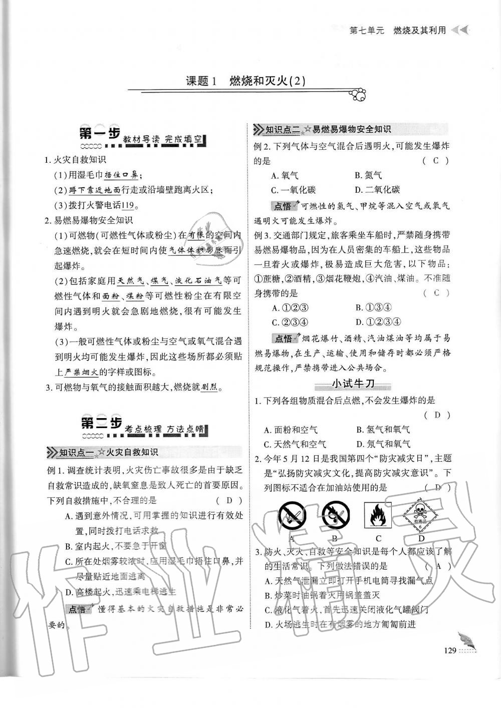 2019年蓉城優(yōu)課堂給力A加九年級(jí)化學(xué)全一冊(cè)人教版 第129頁