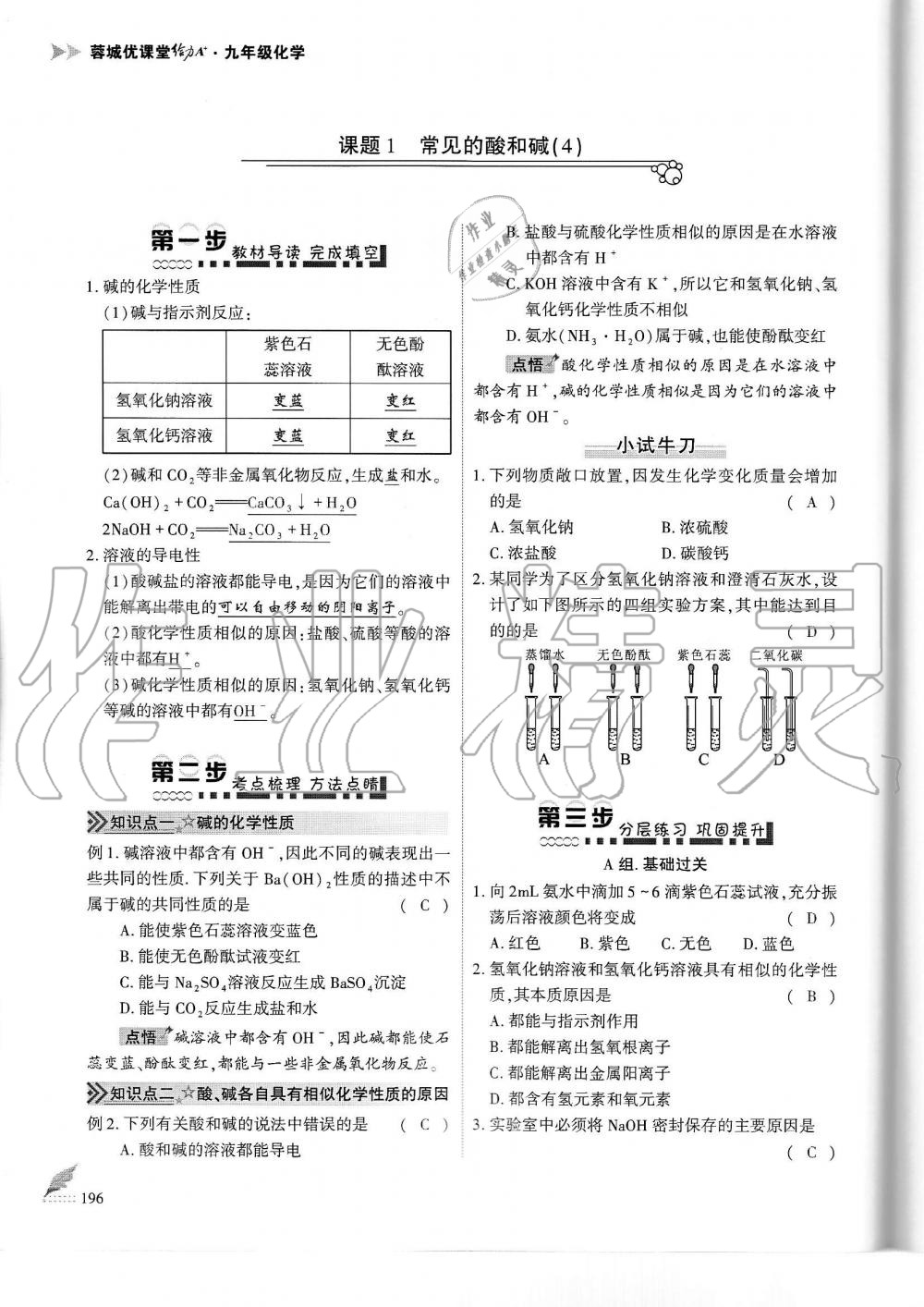 2019年蓉城優(yōu)課堂給力A加九年級(jí)化學(xué)全一冊(cè)人教版 第196頁