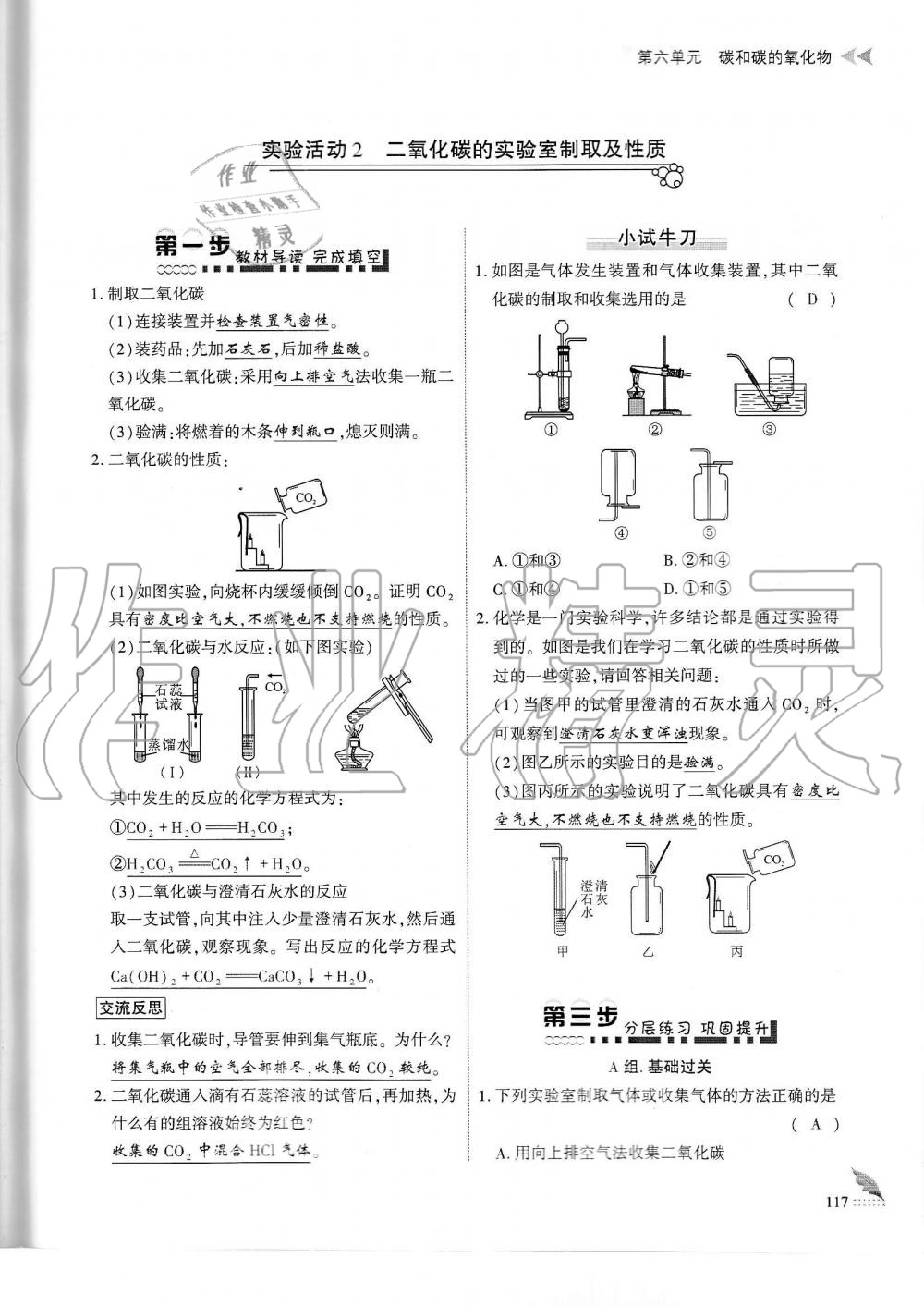 2019年蓉城優(yōu)課堂給力A加九年級(jí)化學(xué)全一冊(cè)人教版 第117頁(yè)