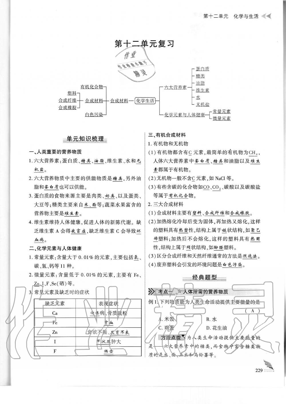 2019年蓉城優(yōu)課堂給力A加九年級化學(xué)全一冊人教版 第229頁