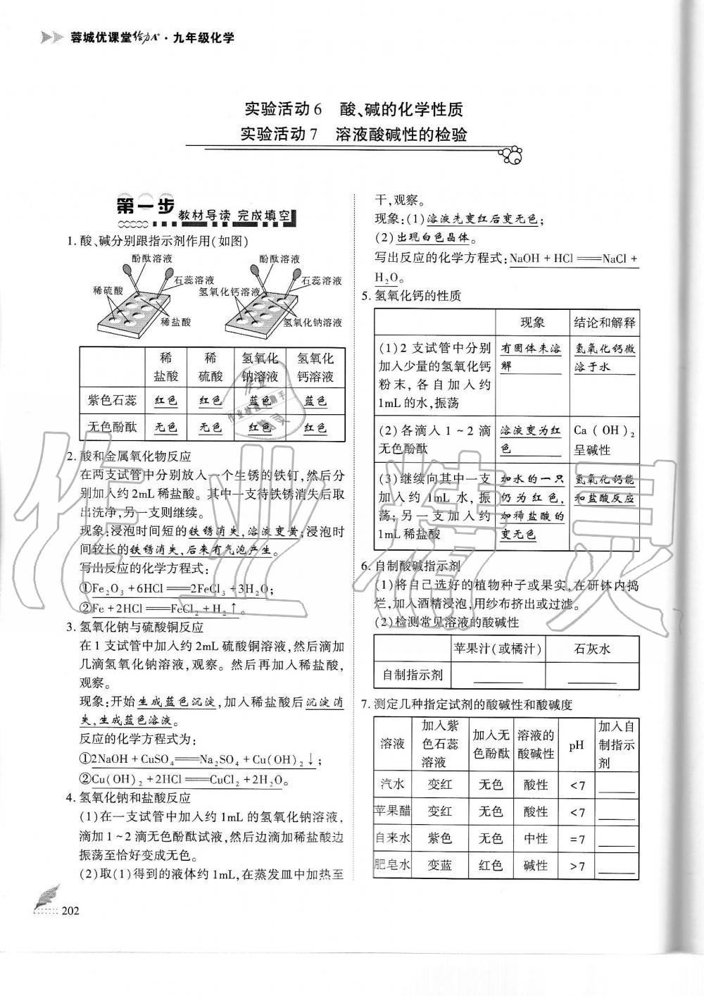 2019年蓉城優(yōu)課堂給力A加九年級(jí)化學(xué)全一冊(cè)人教版 第202頁(yè)