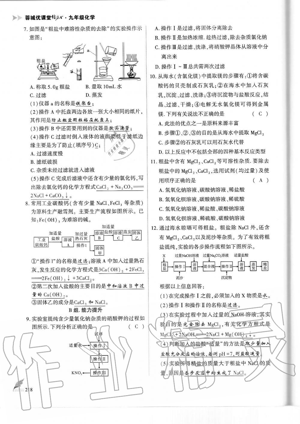 2019年蓉城優(yōu)課堂給力A加九年級化學全一冊人教版 第218頁