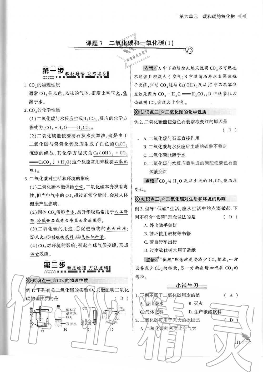 2019年蓉城優(yōu)課堂給力A加九年級(jí)化學(xué)全一冊(cè)人教版 第111頁(yè)