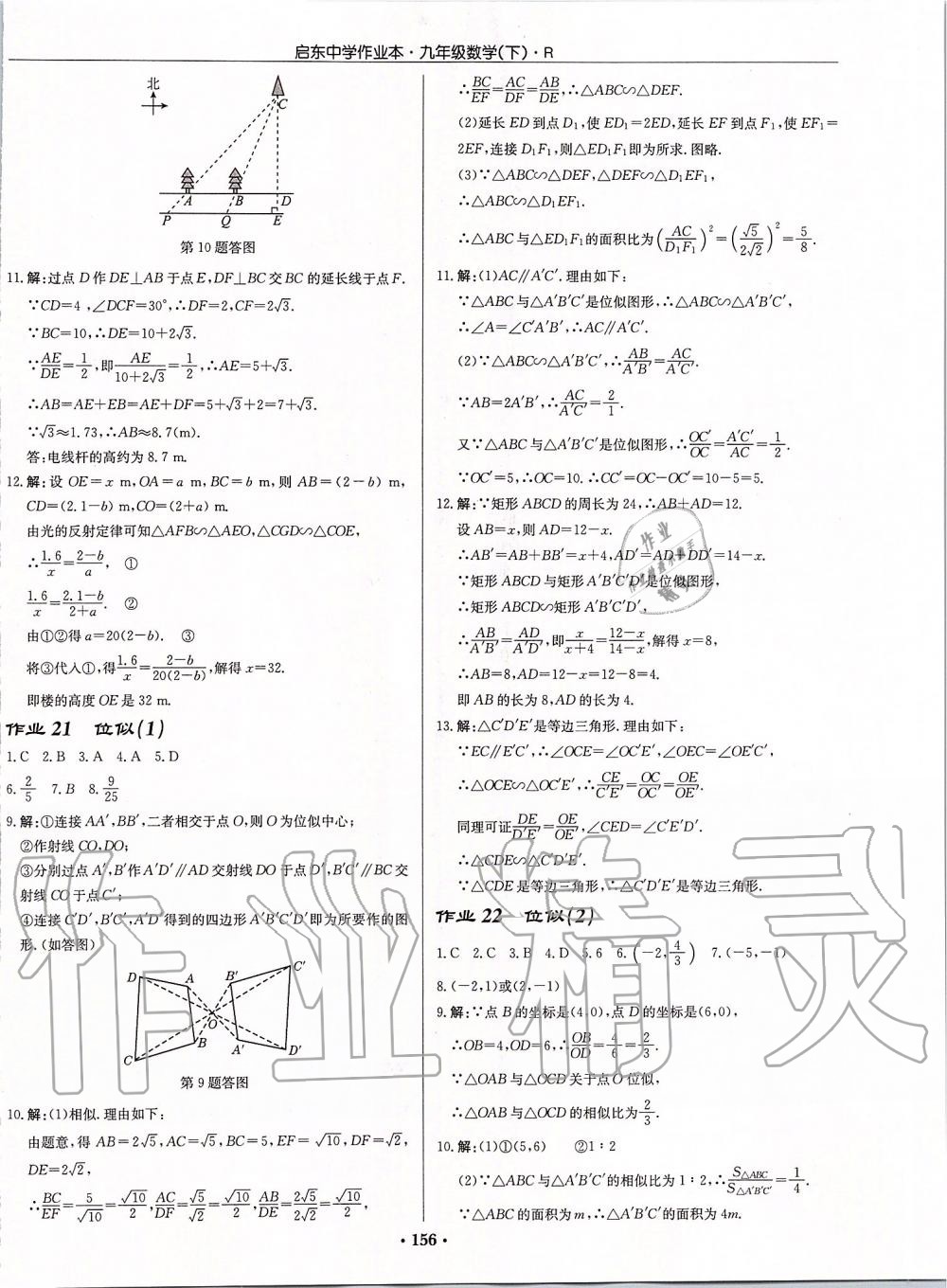 2020年启东中学作业本九年级数学下册人教版 第14页