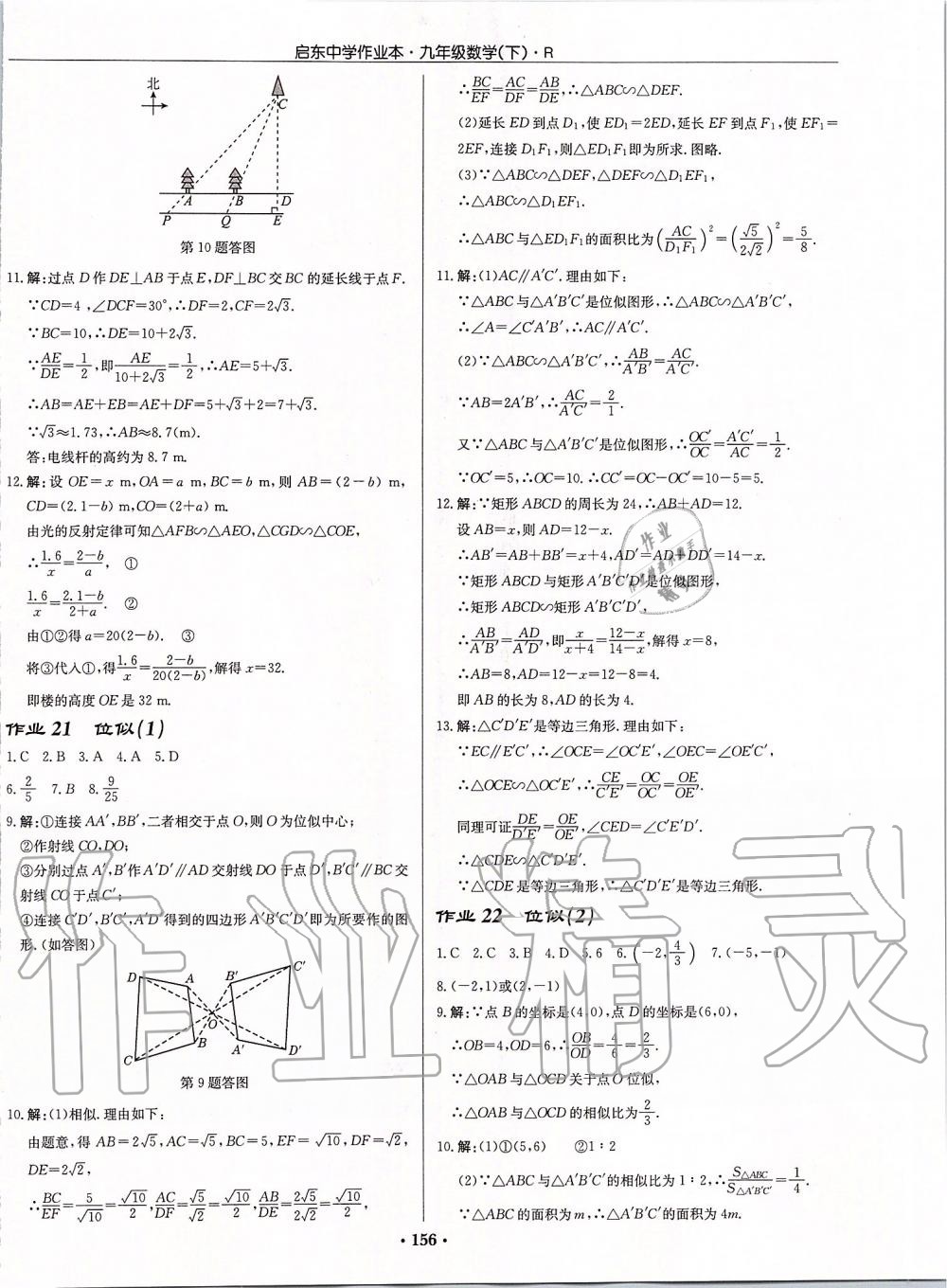 2020年啟東中學作業(yè)本九年級數(shù)學下冊人教版 第14頁