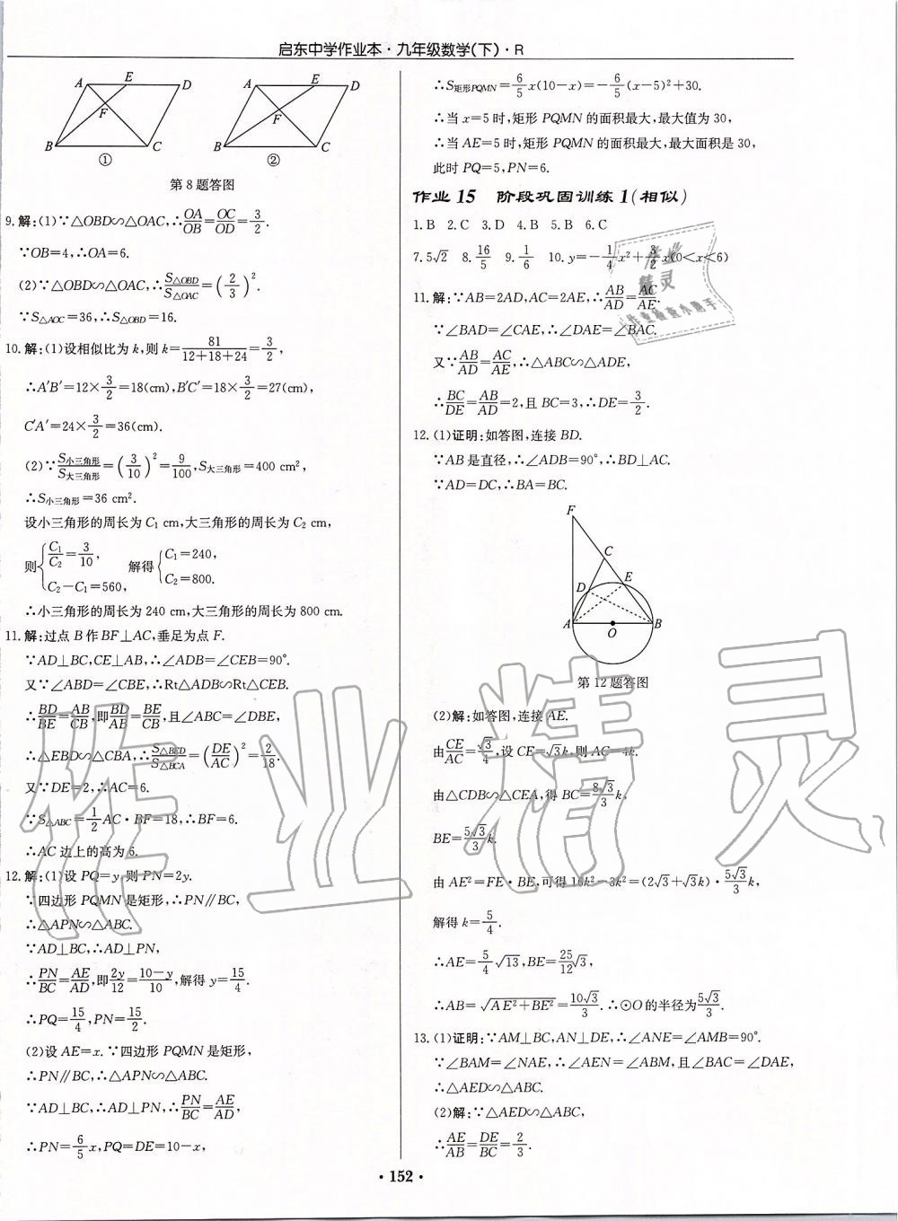 2020年启东中学作业本九年级数学下册人教版 第10页