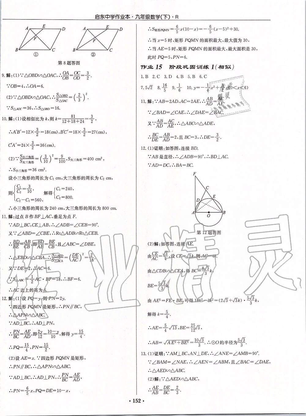 2020年啟東中學(xué)作業(yè)本九年級(jí)數(shù)學(xué)下冊(cè)人教版 第10頁(yè)